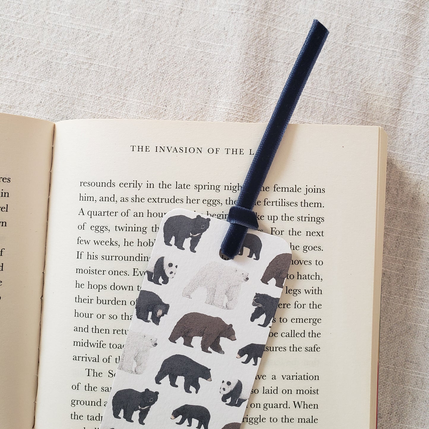 Bear Species Bookmark