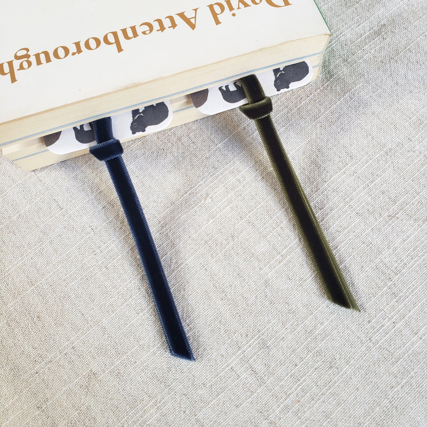 Bear Species Bookmark