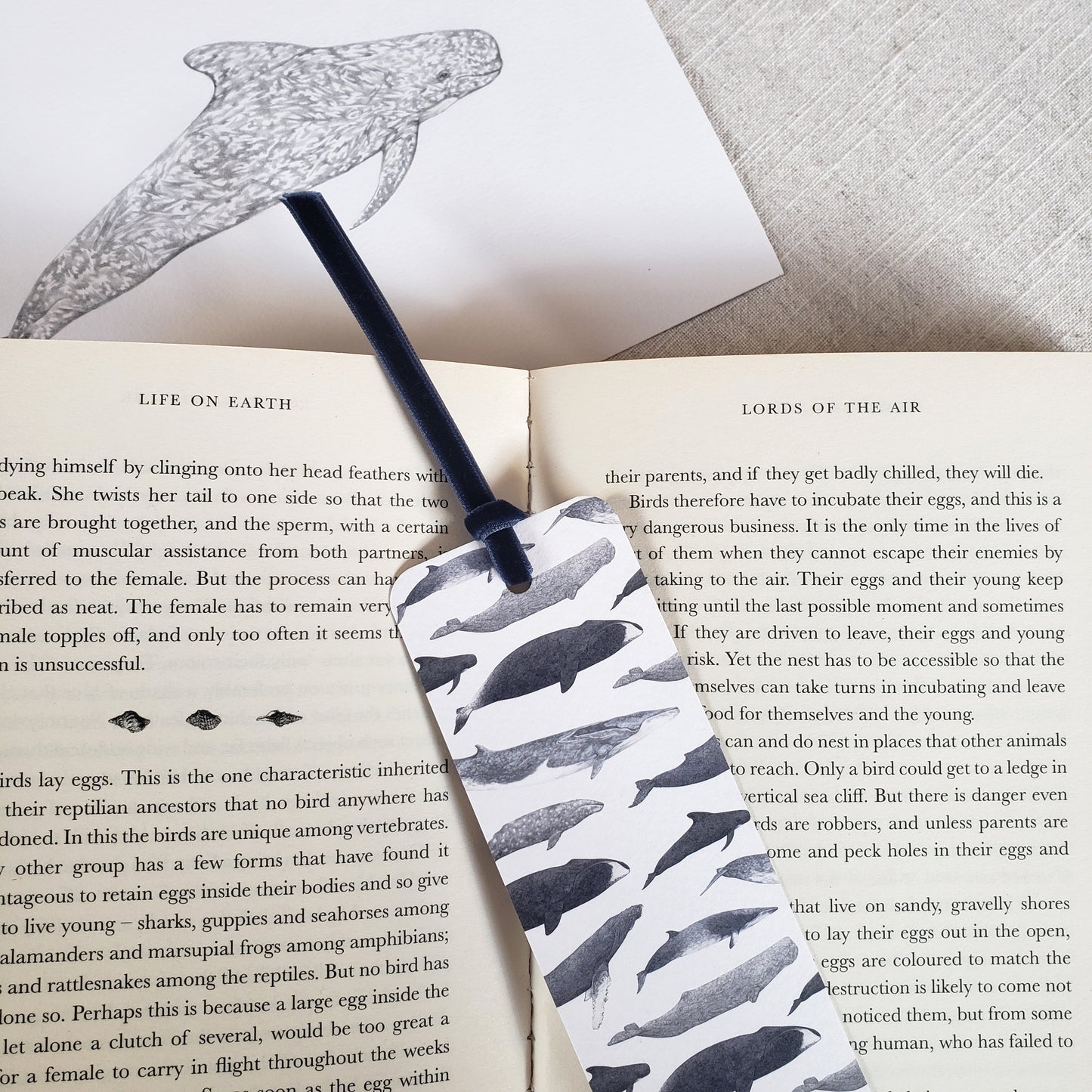 Whale Bookmark