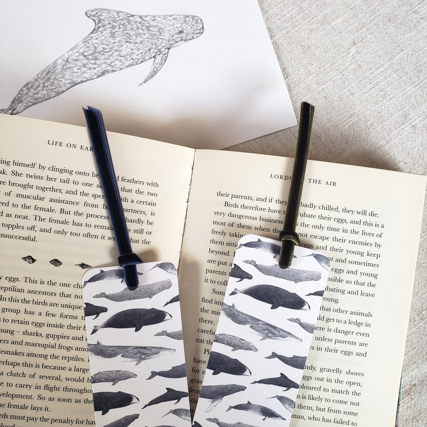 Whale Bookmark