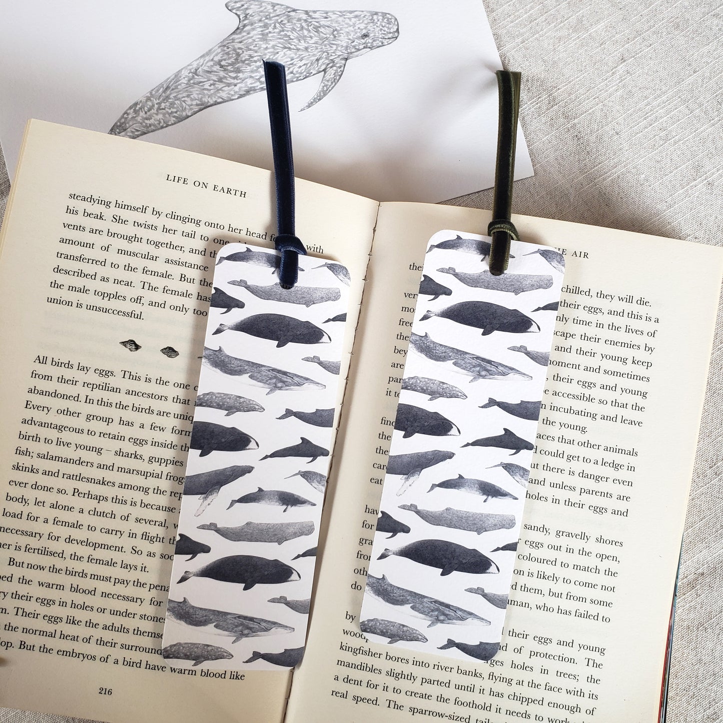 Whale Bookmark