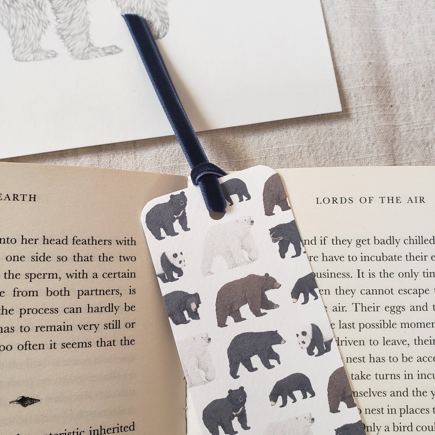 Bear Species Bookmark