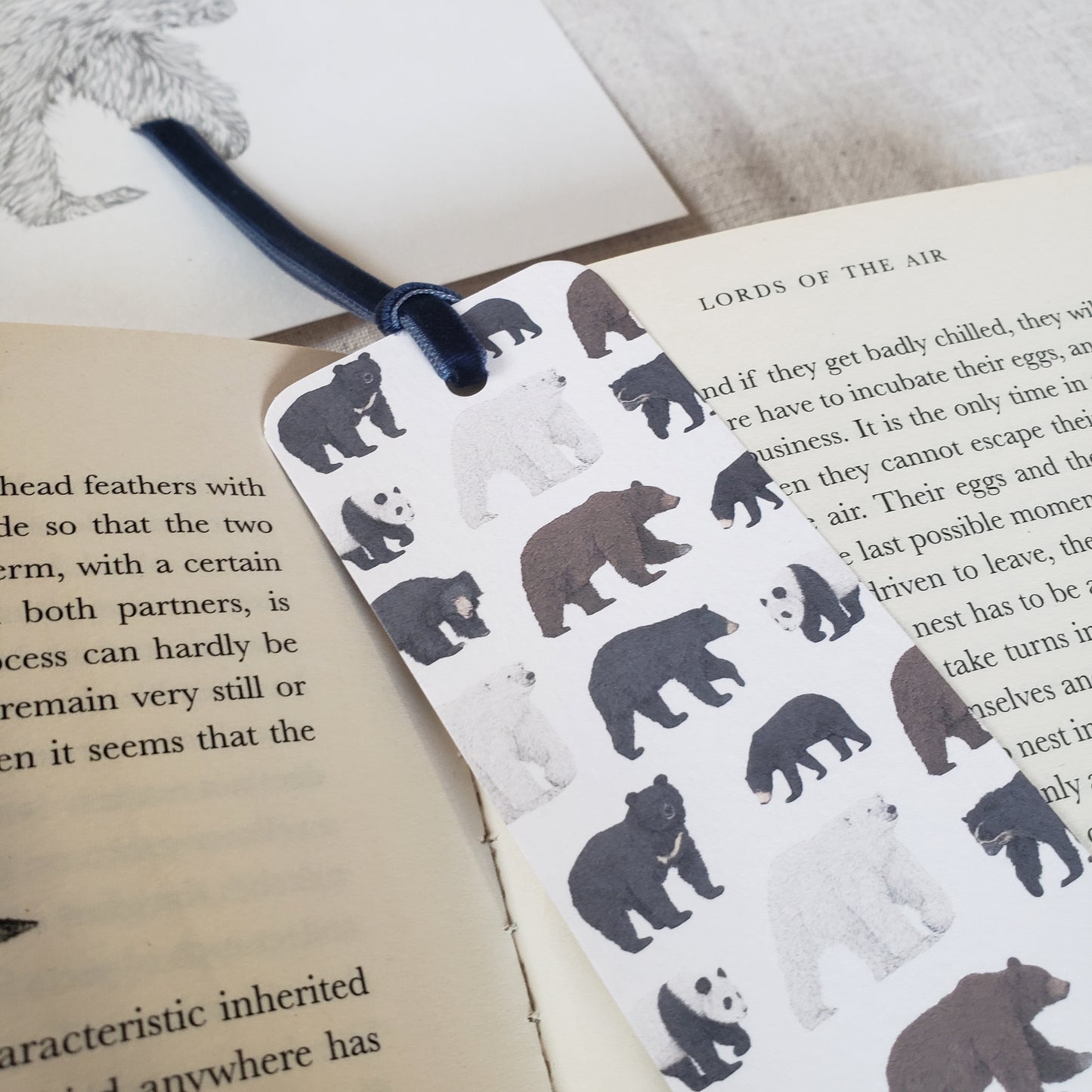 Bear Species Bookmark