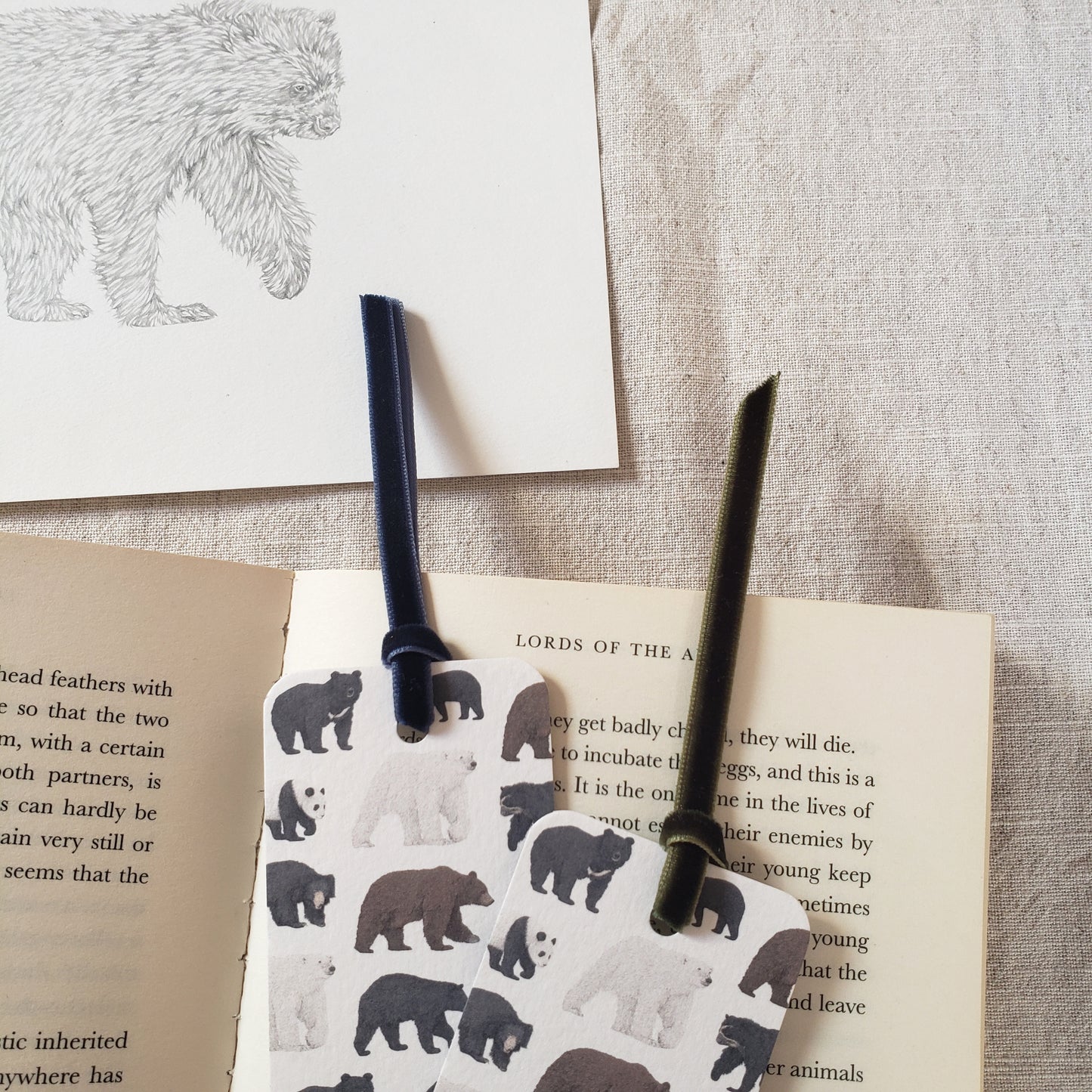 Bear Species Bookmark