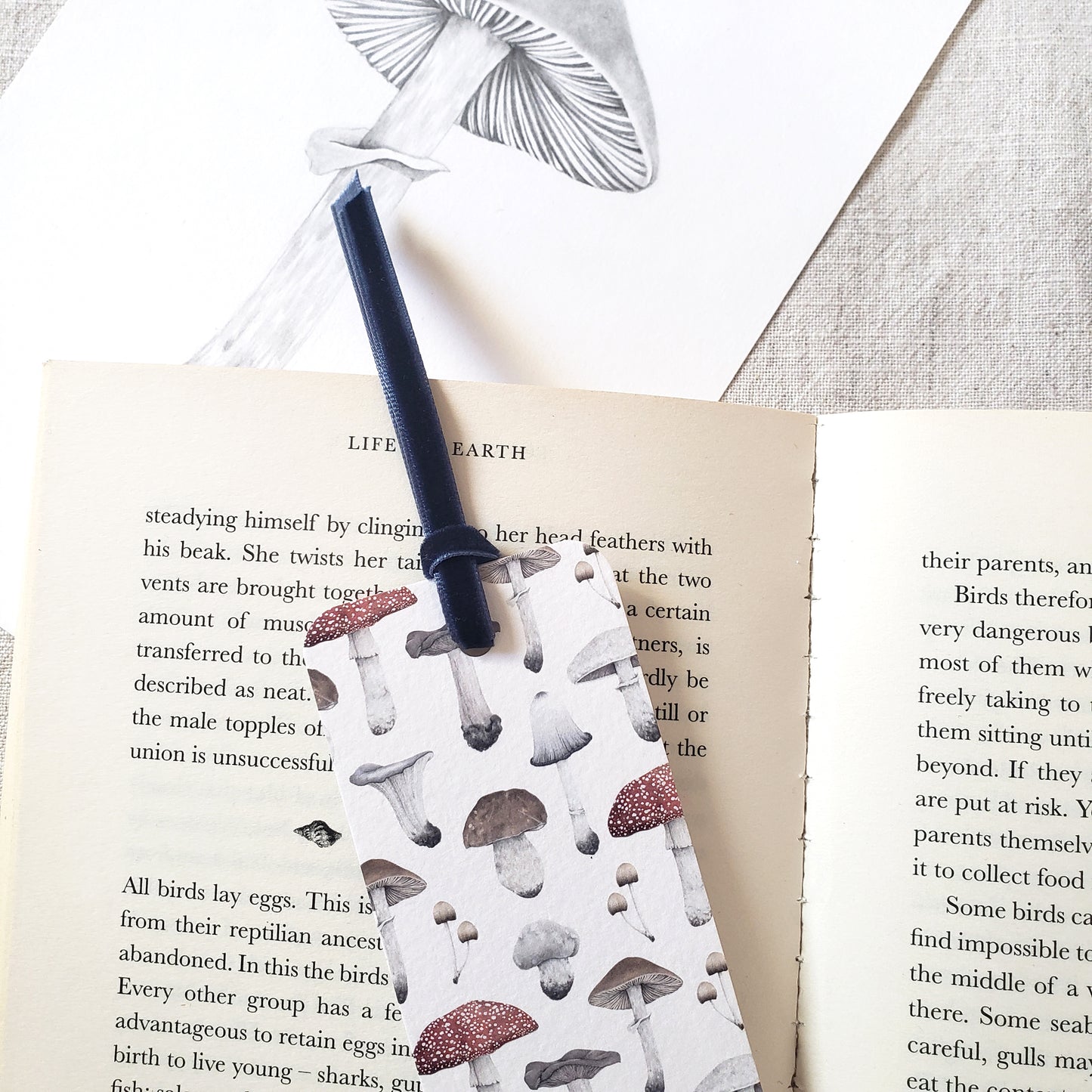 Mushroom Bookmark