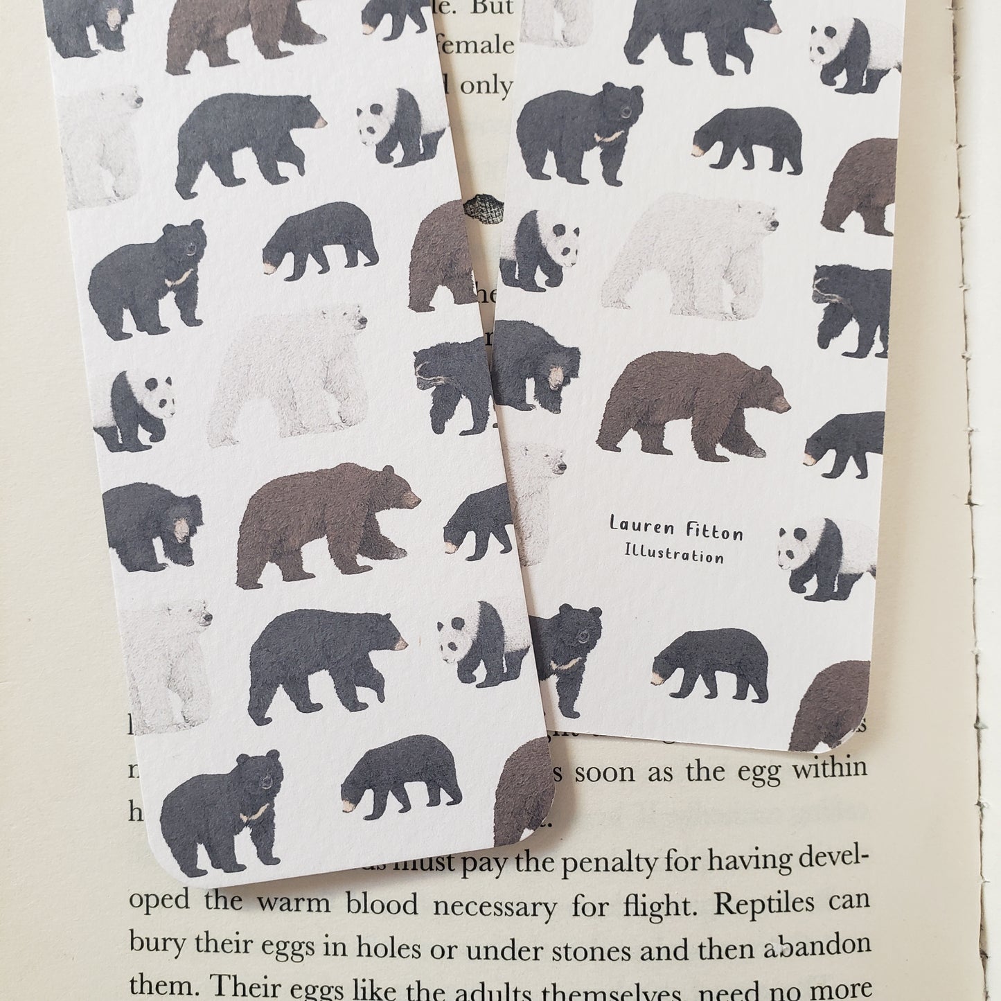 Bear Species Bookmark
