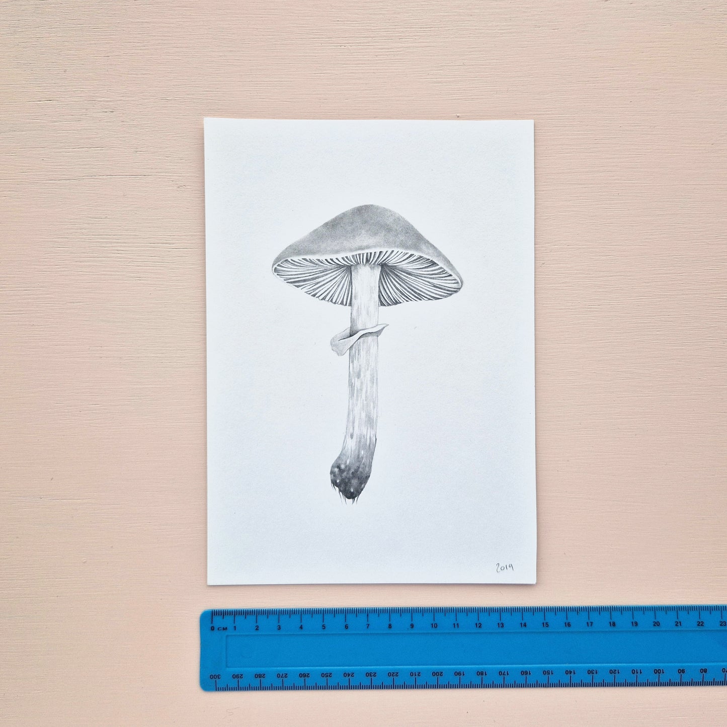Mushroom Original Drawing 5/6
