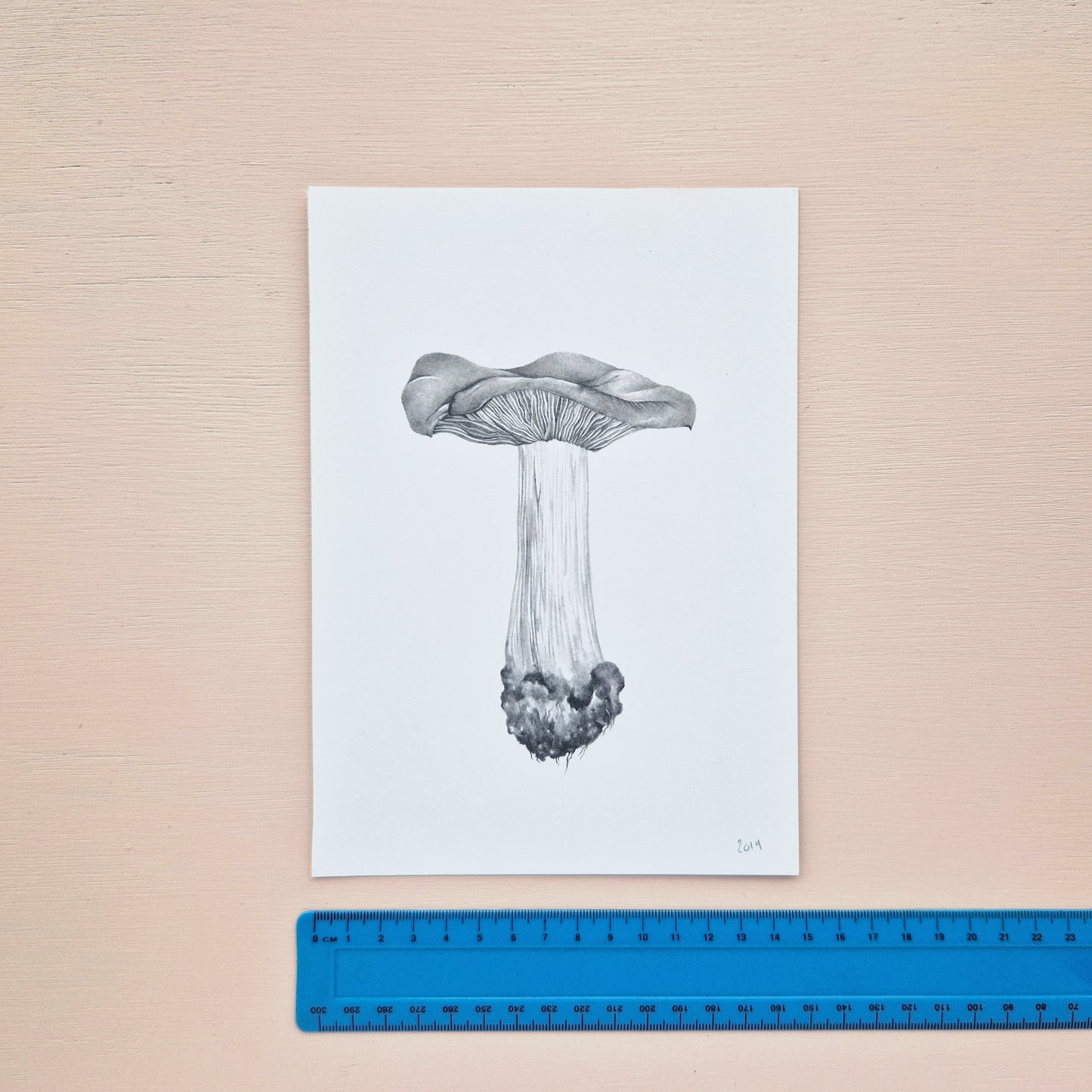 Mushroom Original Drawing 4/6