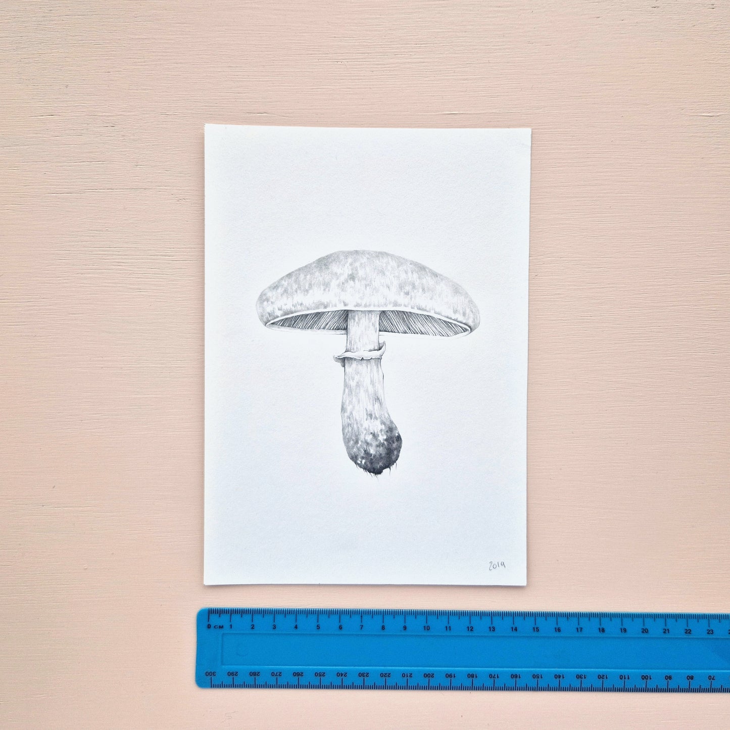 Mushroom Original Drawing 3/6