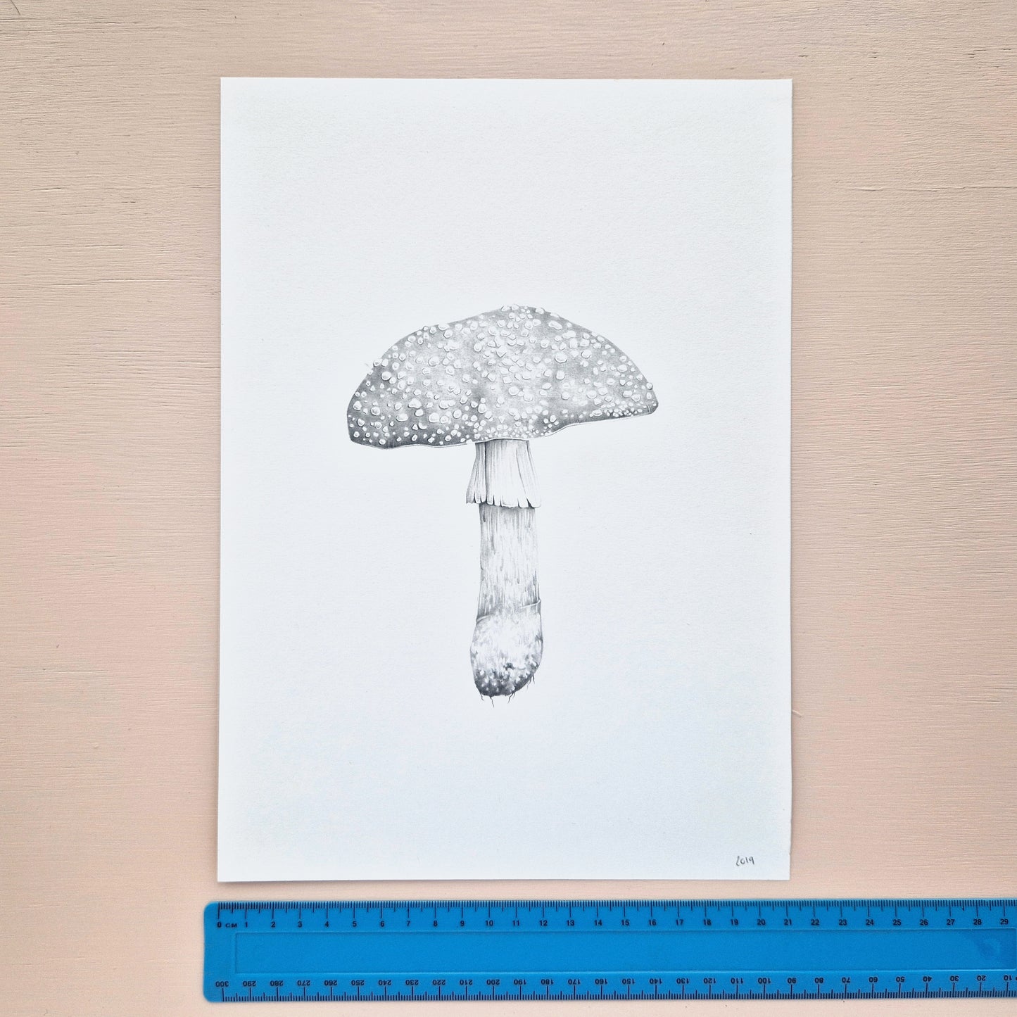 Mushroom Original Drawing 1/6