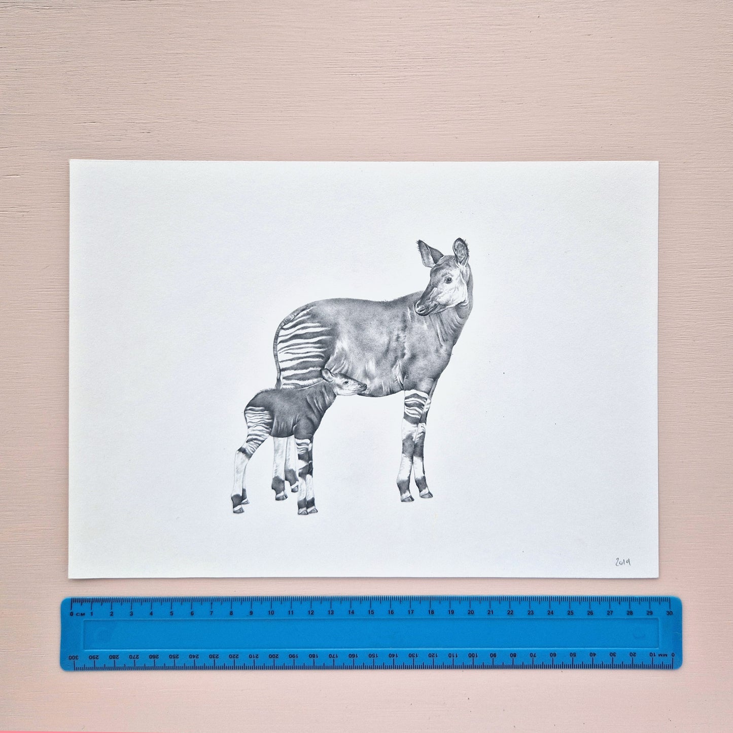 Okapi Original Drawing