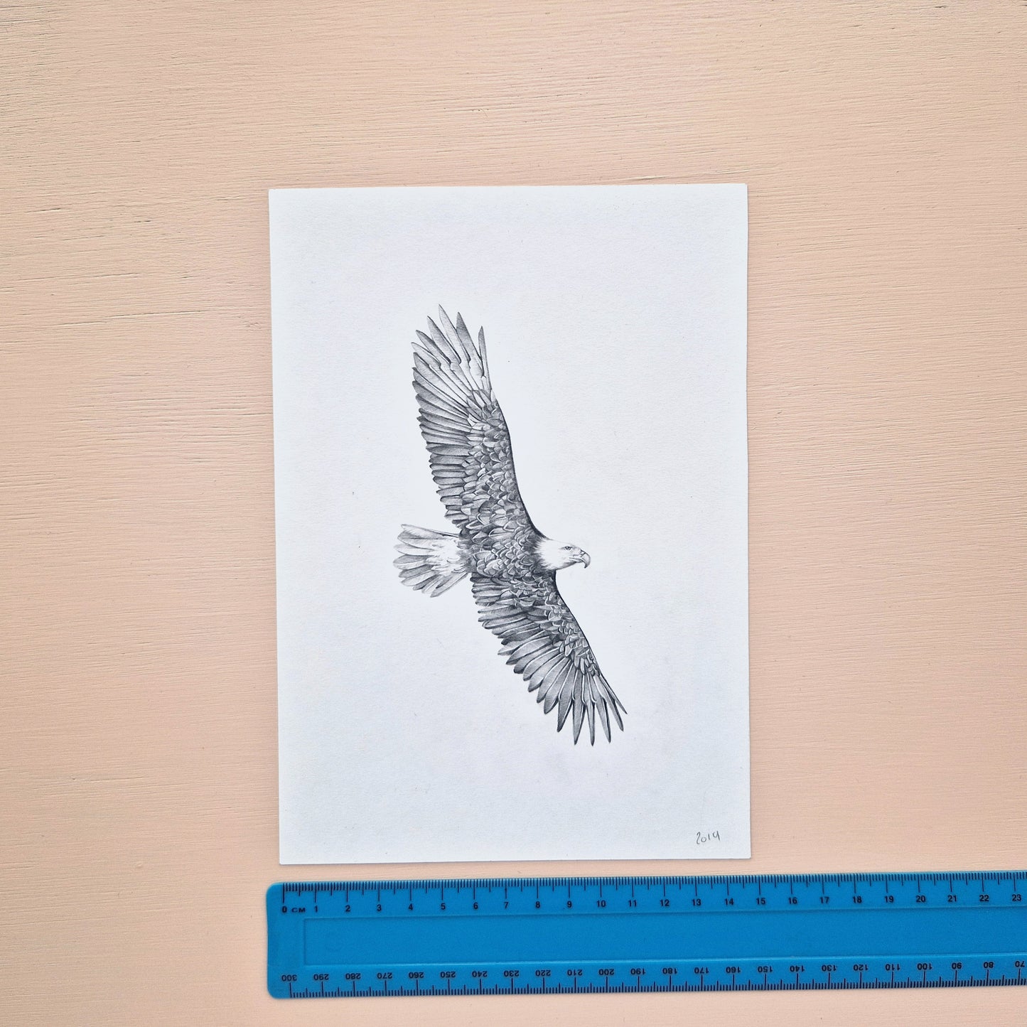 Bald Eagle Original Drawing 1/2