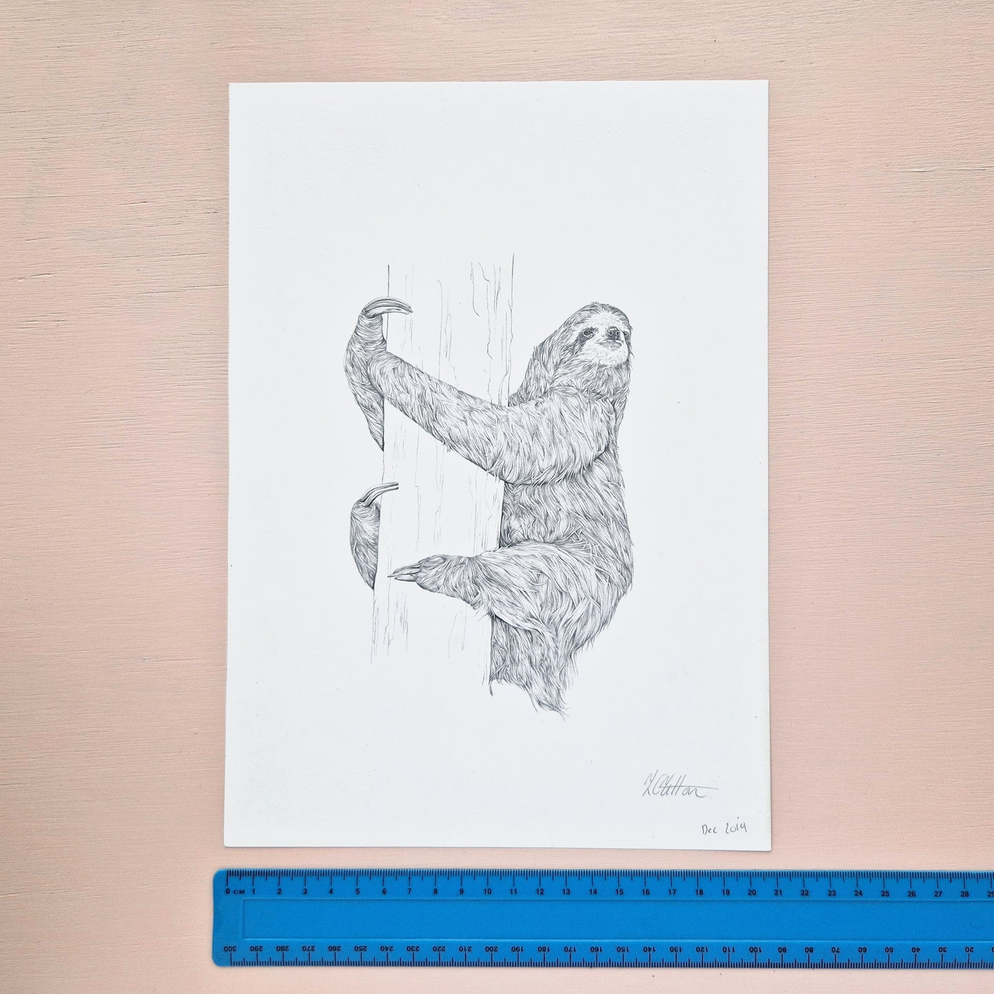 Sloth Original Drawing