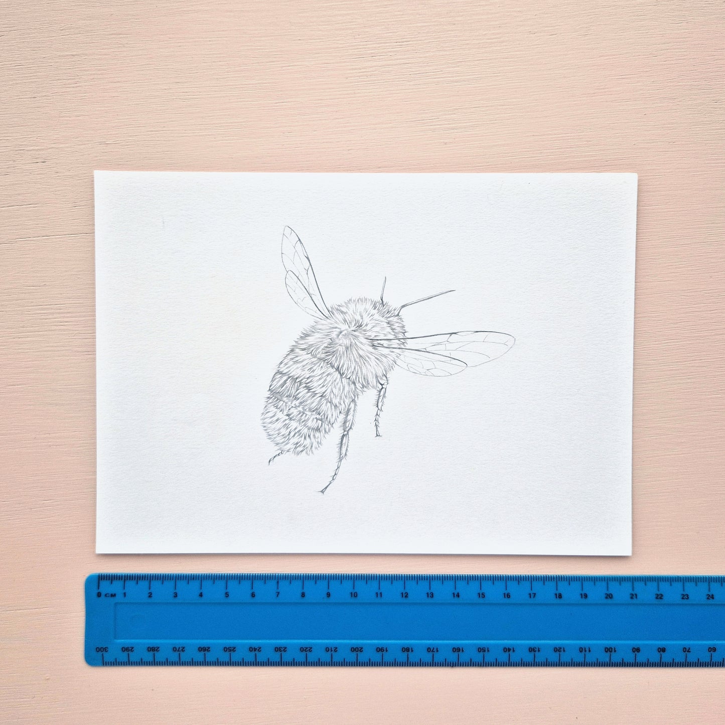 Bumble bee Original Drawing