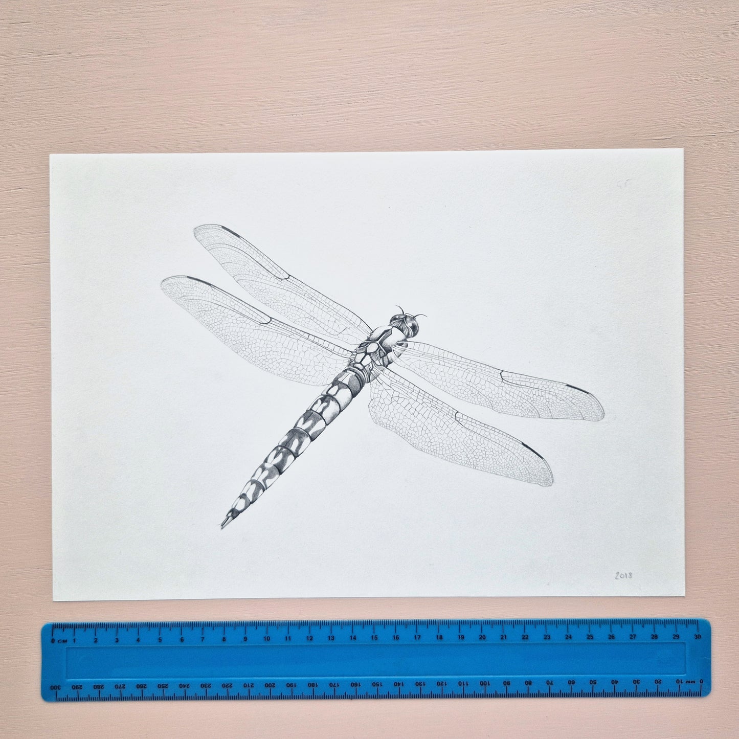 Dragonfly Original Drawing