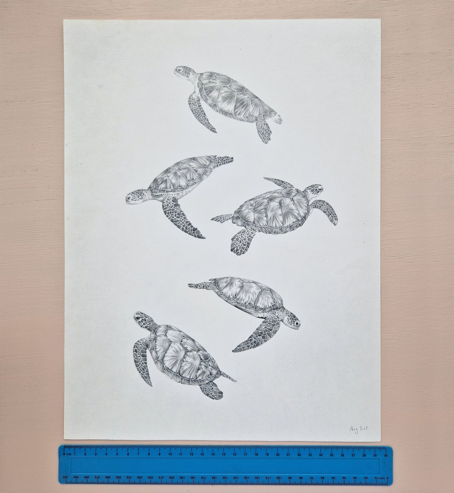 Turtles Original Drawing