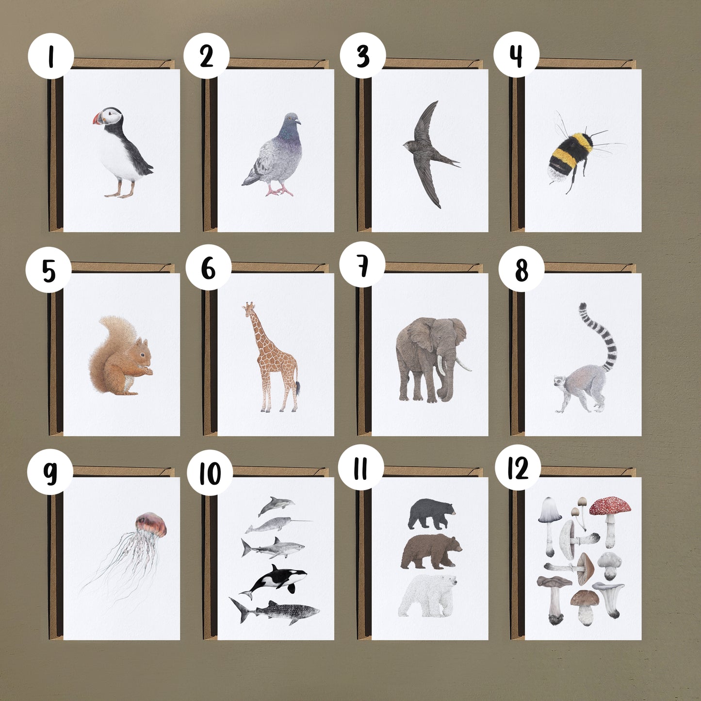 Pack of Cards (A6)