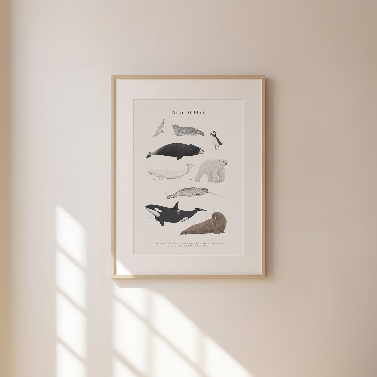 Arctic Wildlife Species Educational Print