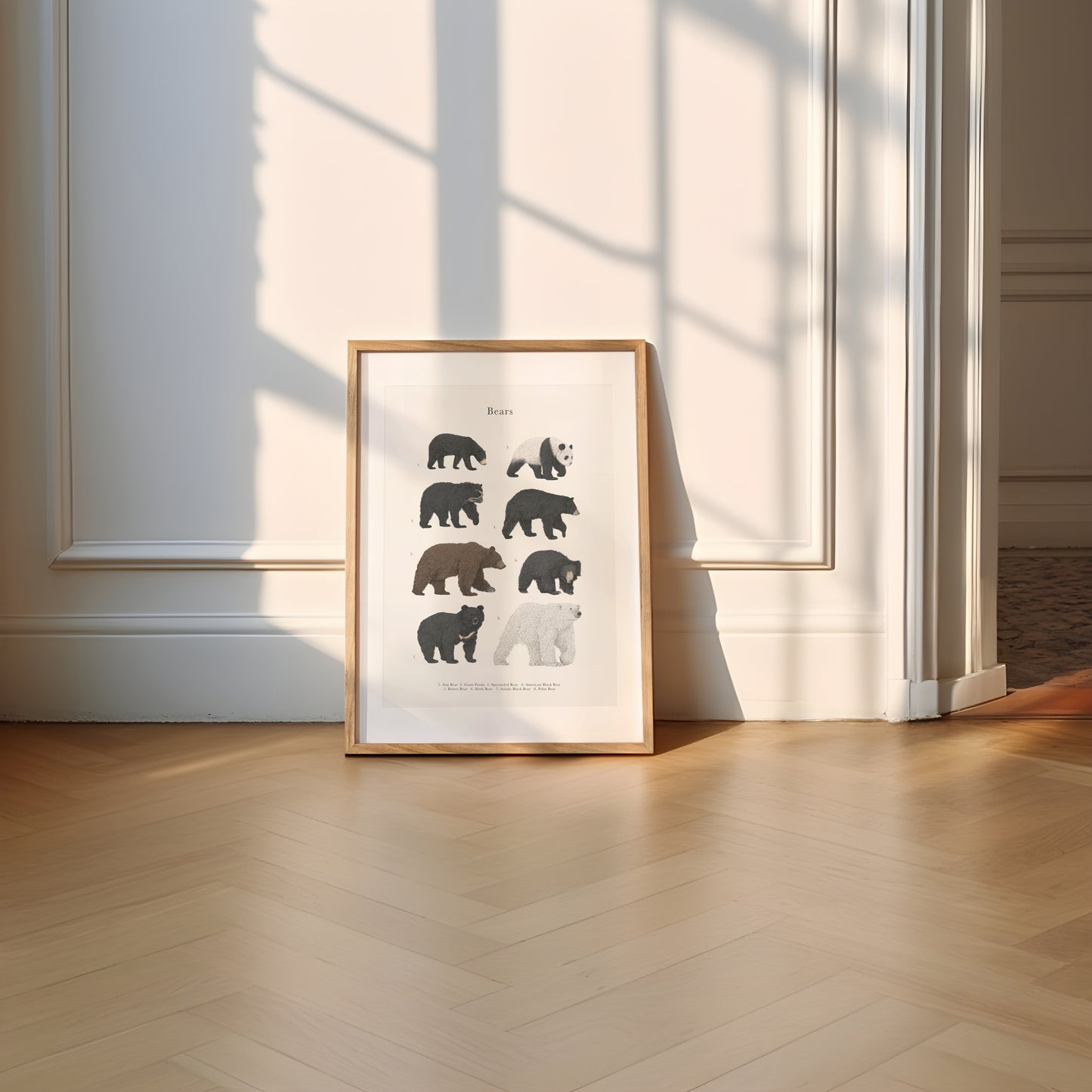Bear Species Educational Print