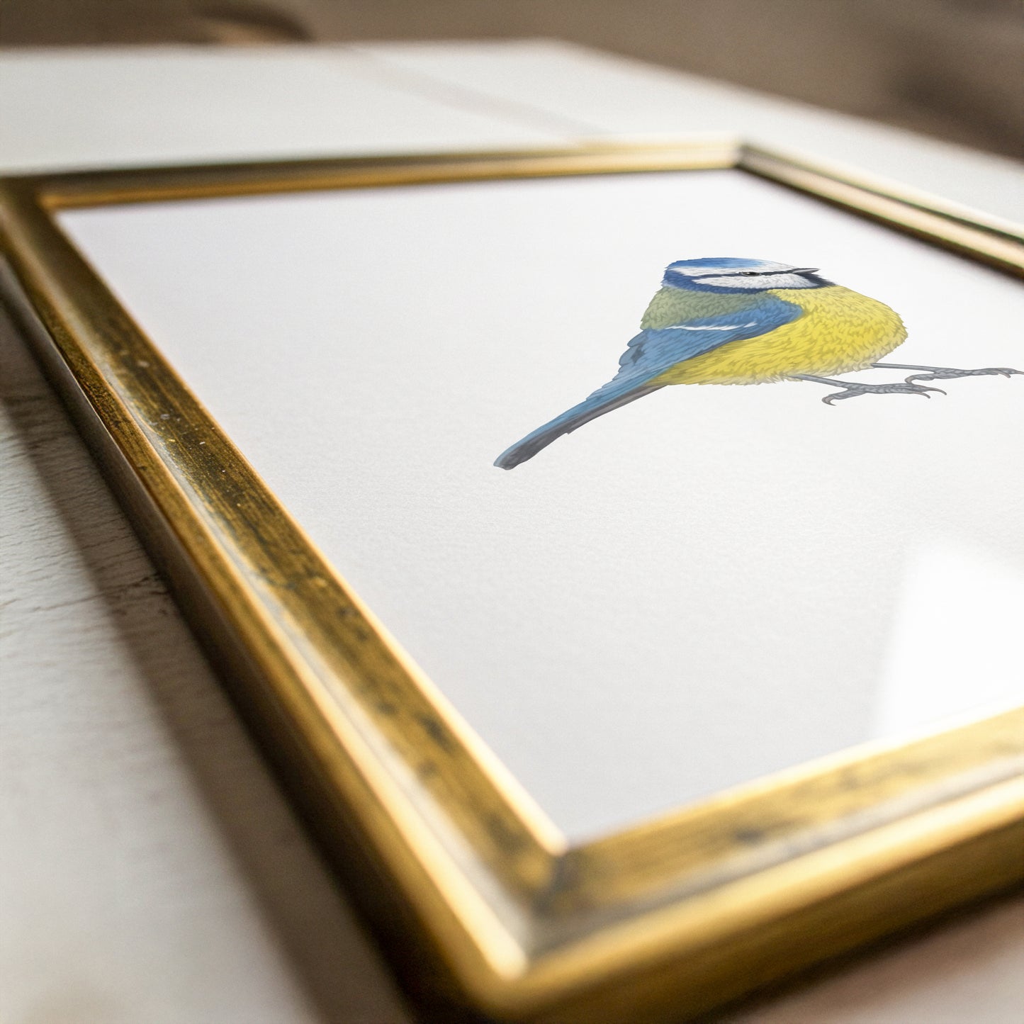 Blue Tit Print