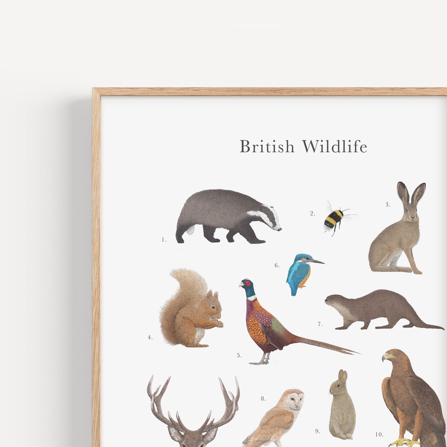 British Wildlife Species Educational Print