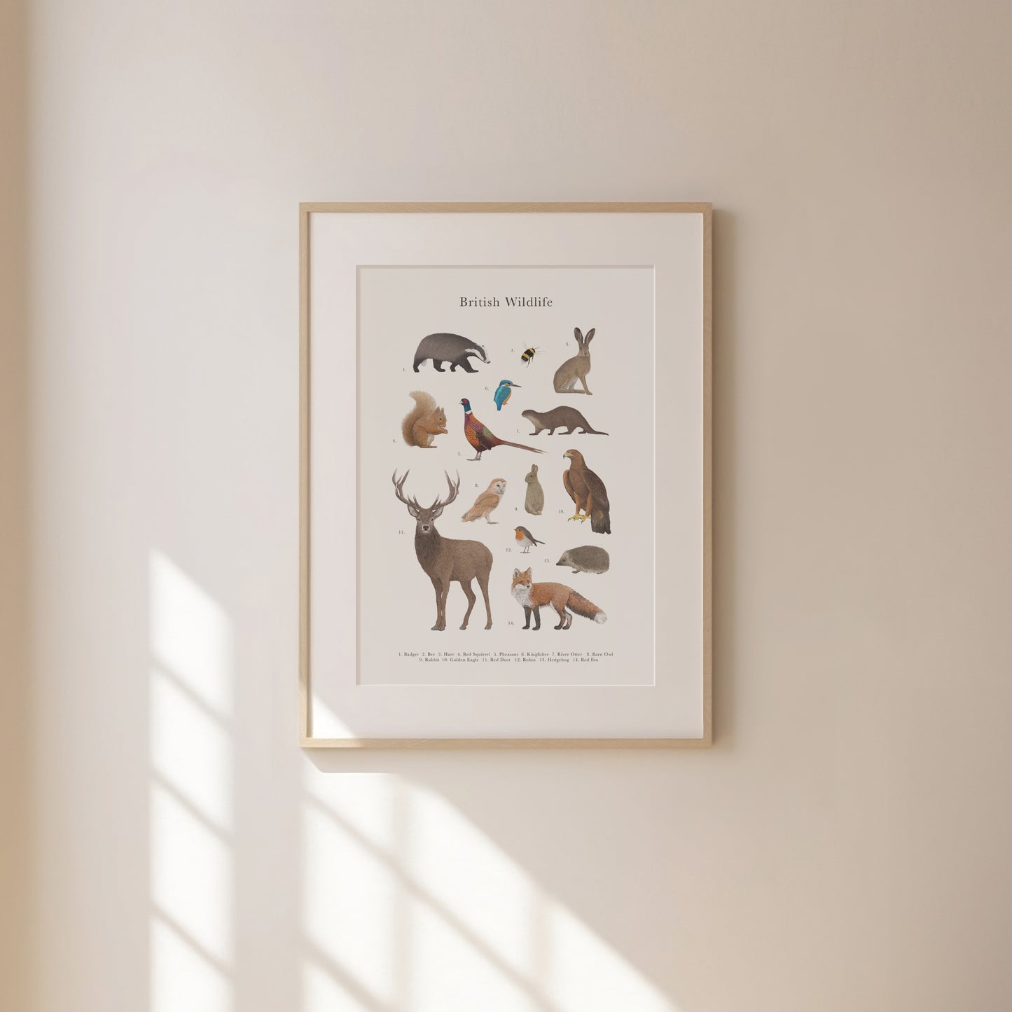 British Wildlife Species Educational Print