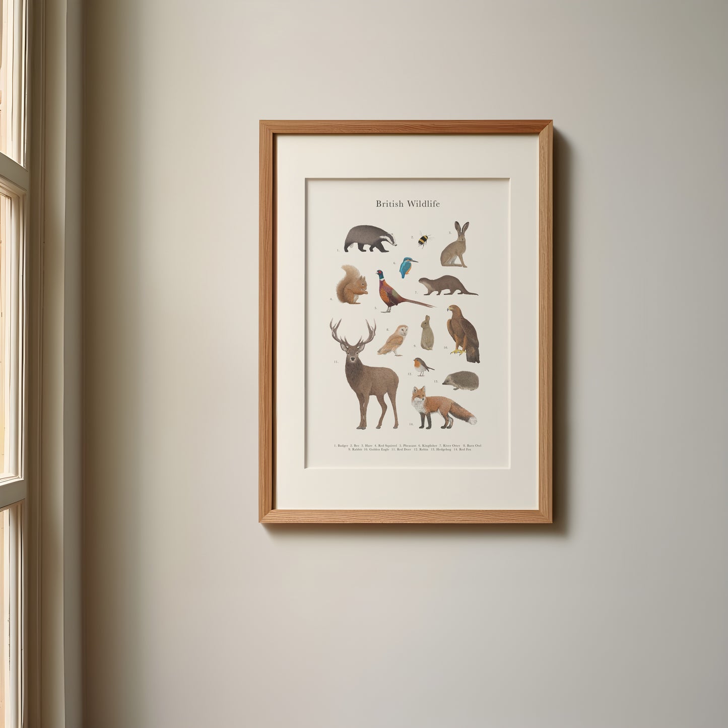 British Wildlife Species Educational Print