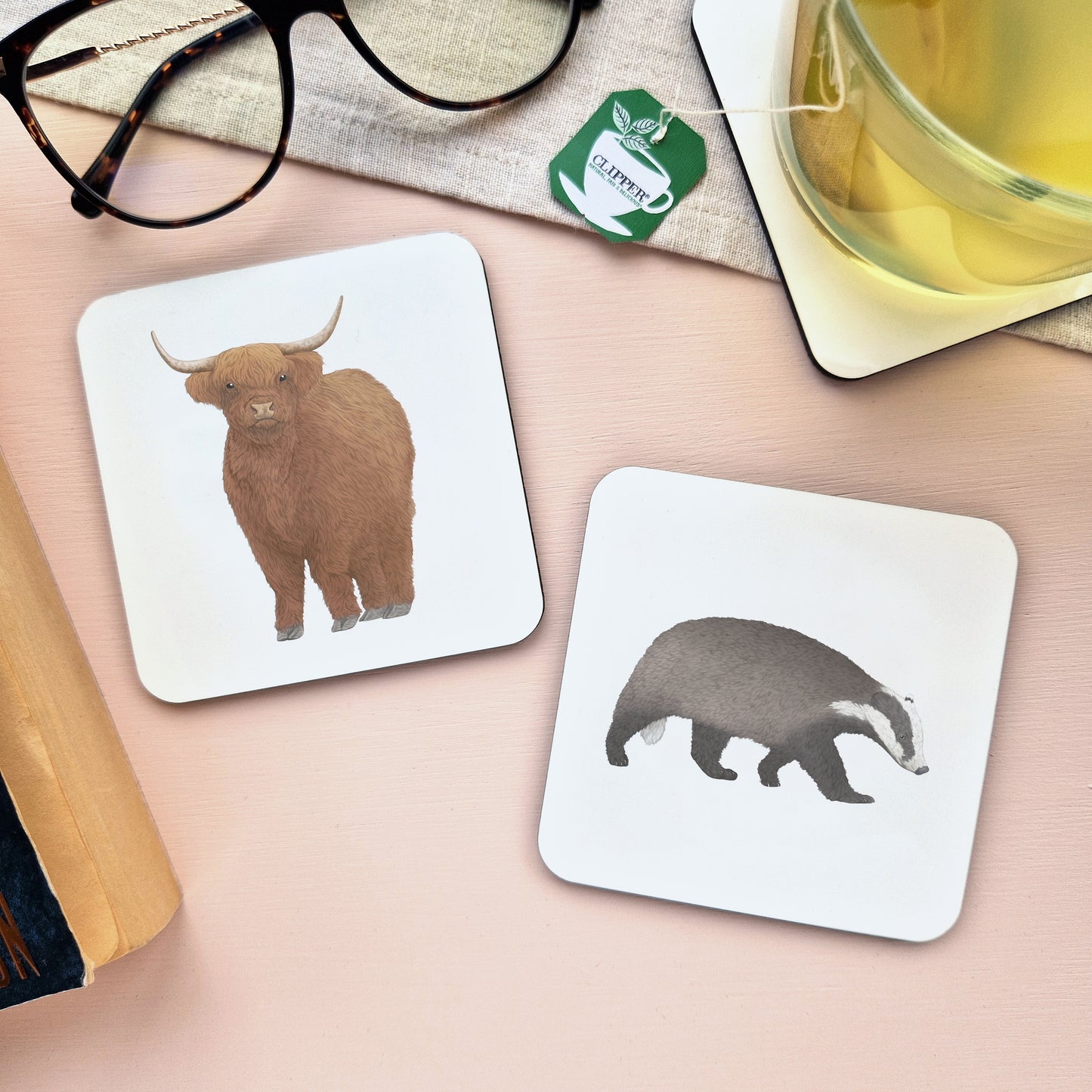 Highland Cow Coaster
