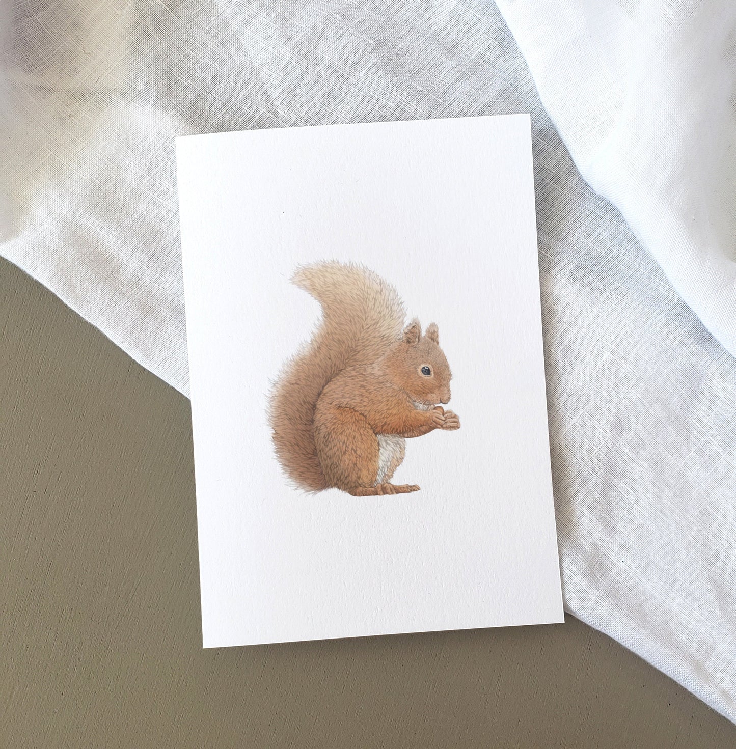 Squirrel Card