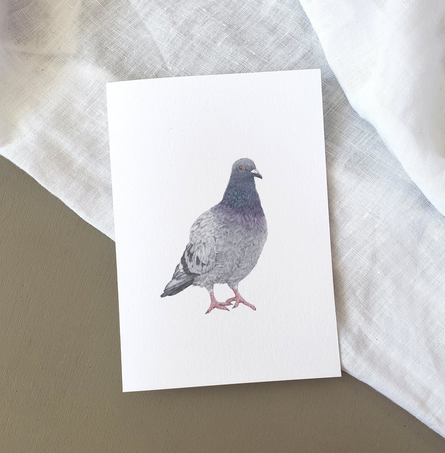 Pigeon Card