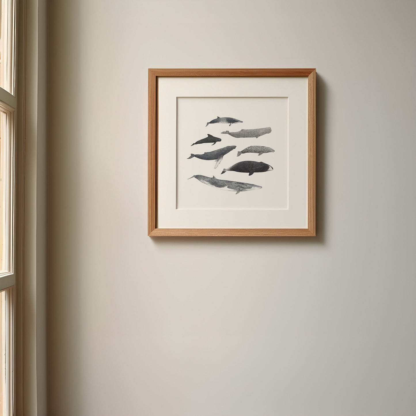 Whale Species Square Print