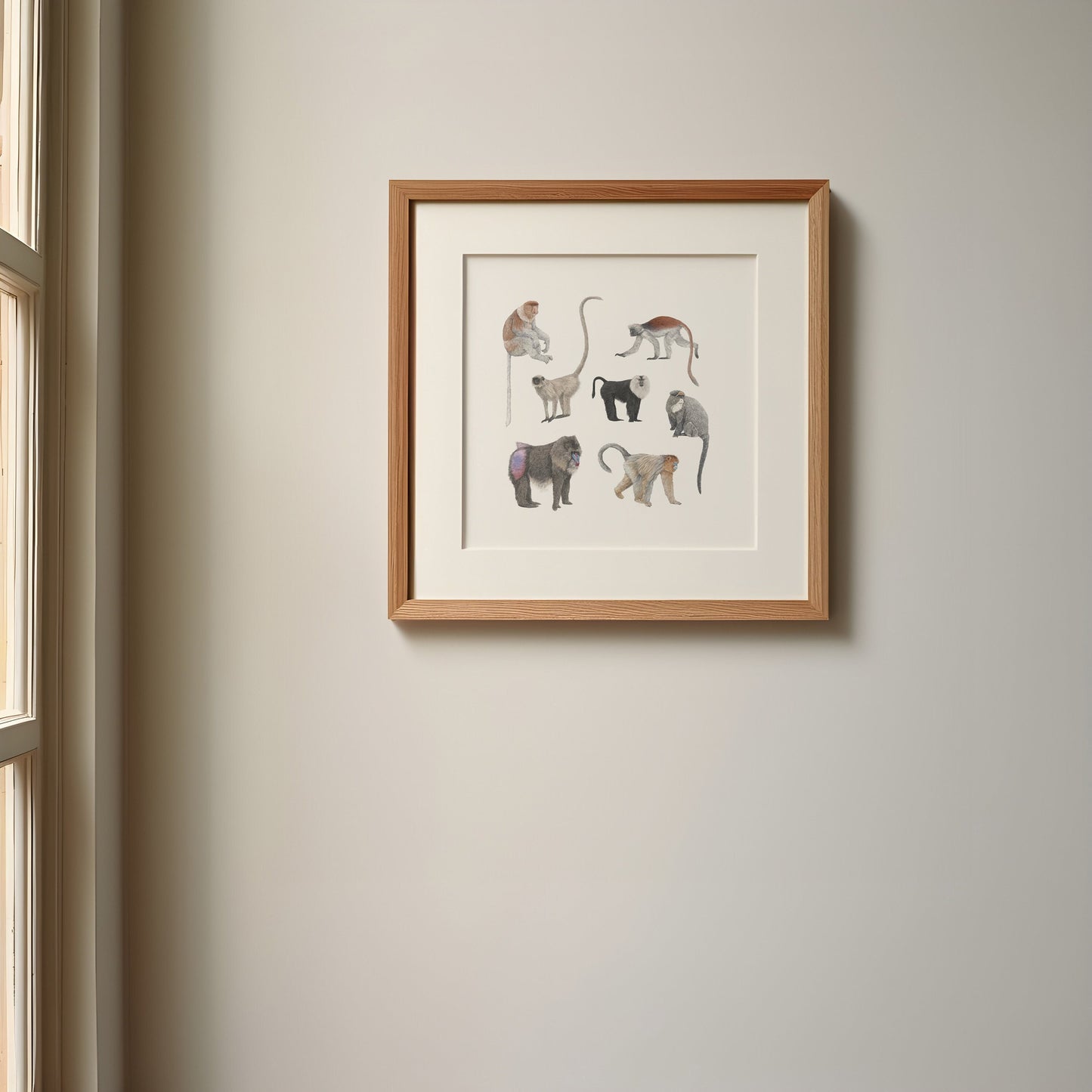 Monkey Species Square Print