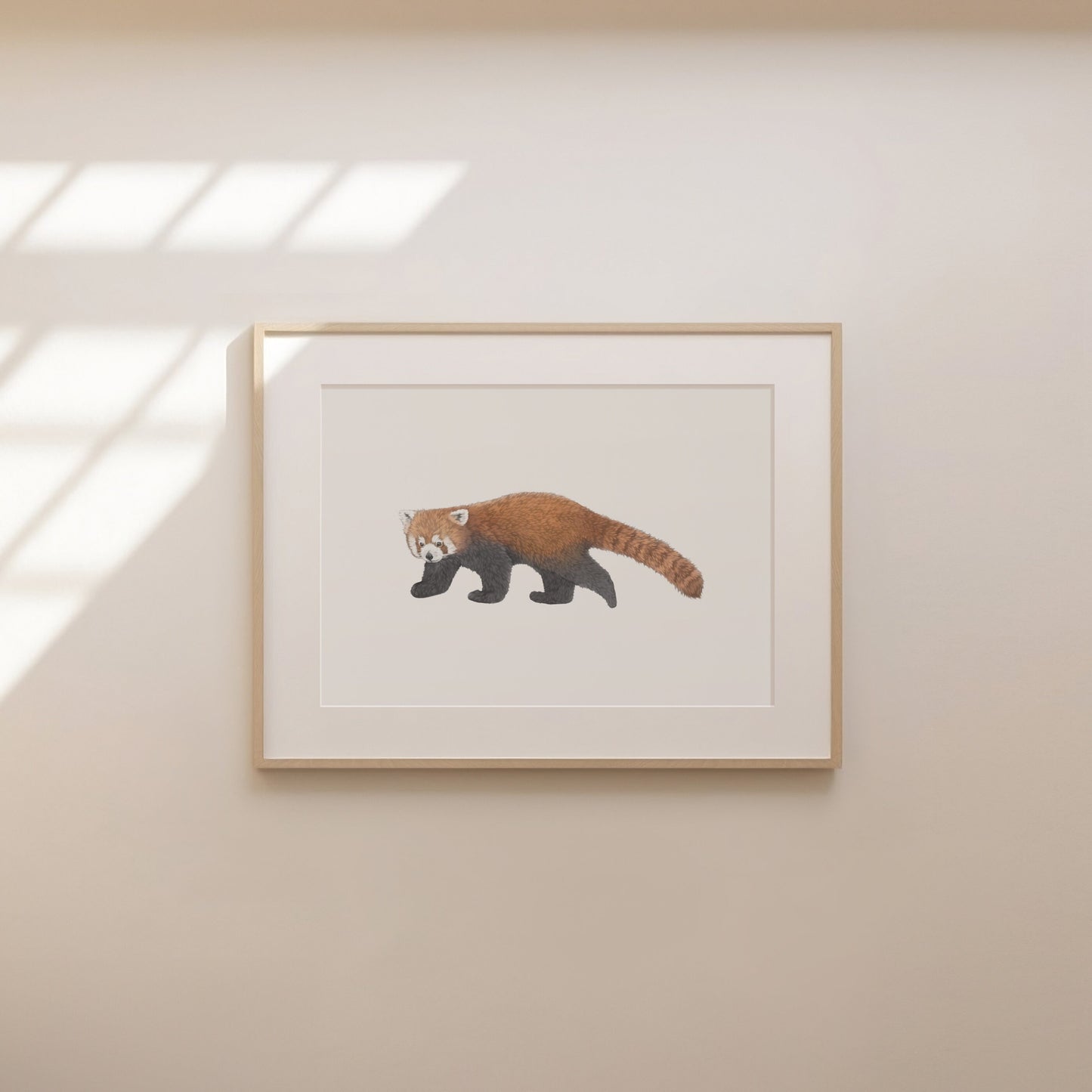 Red Panda Print