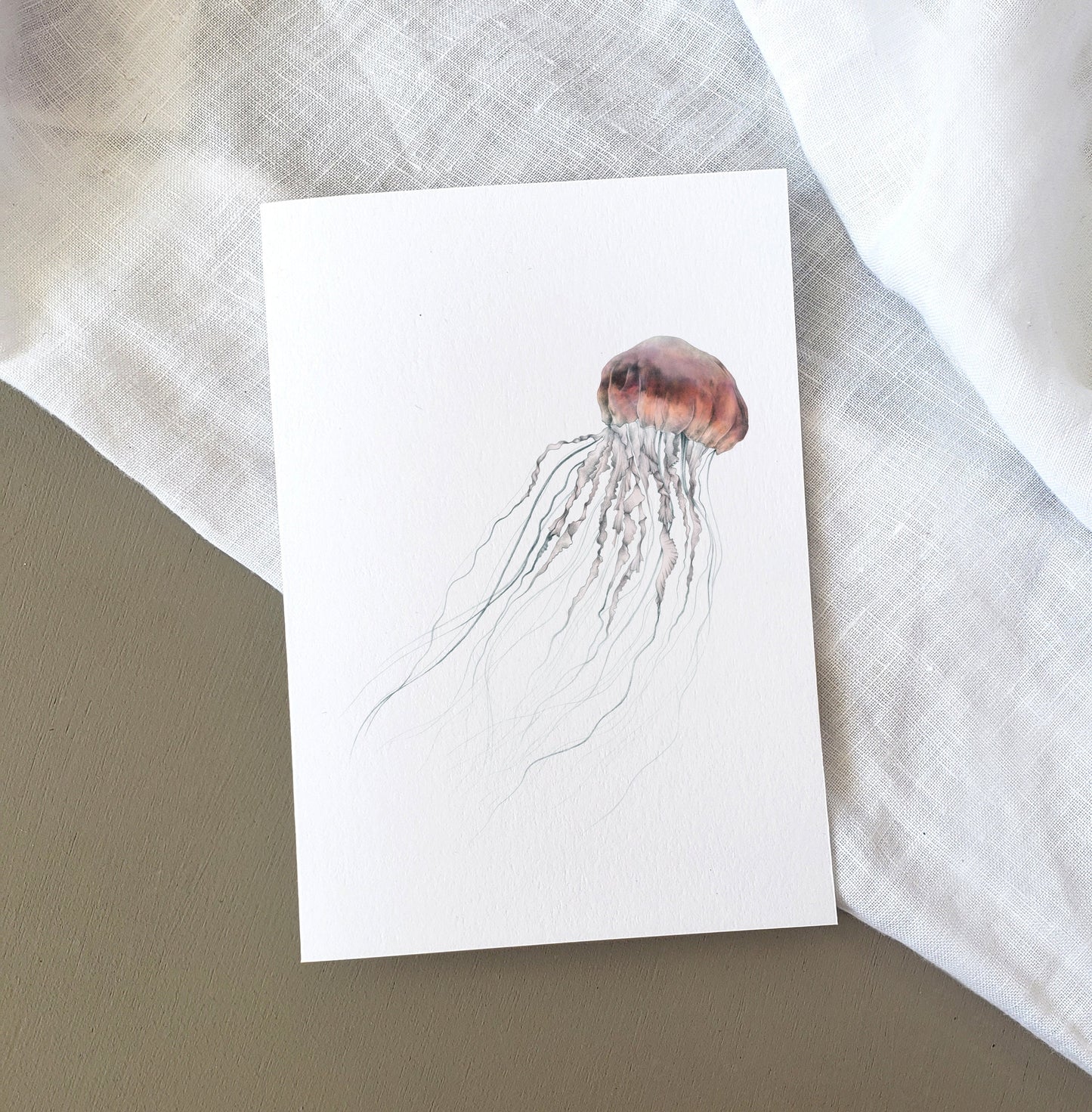 Jellyfish Card