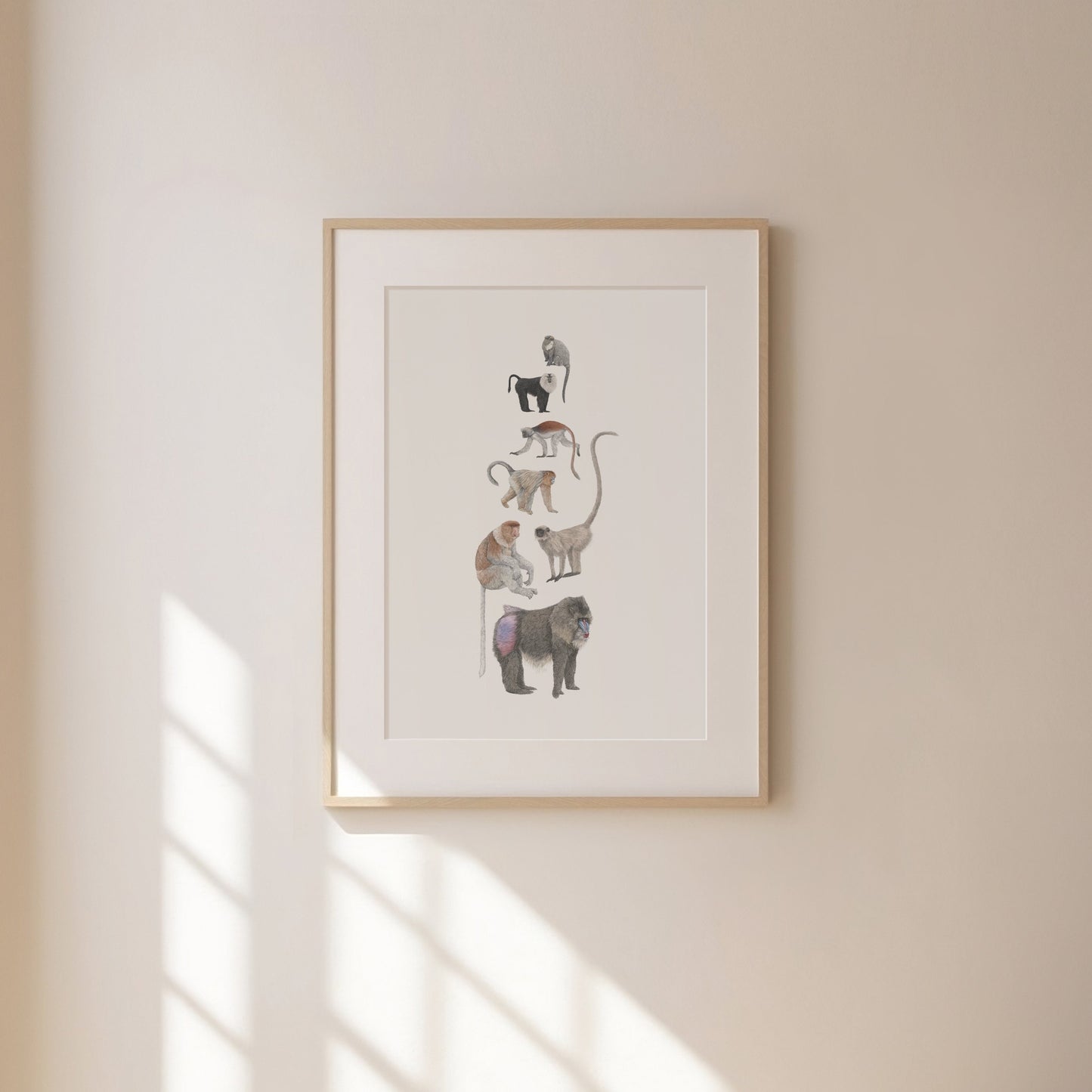 Monkey Species Print