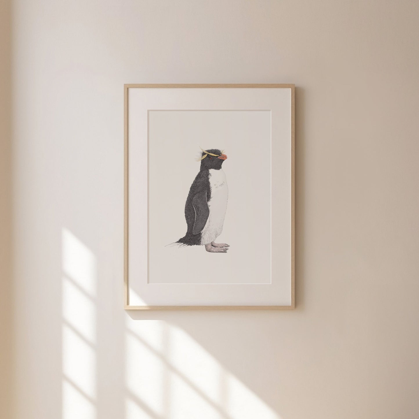 Rockhopper Penguin Print