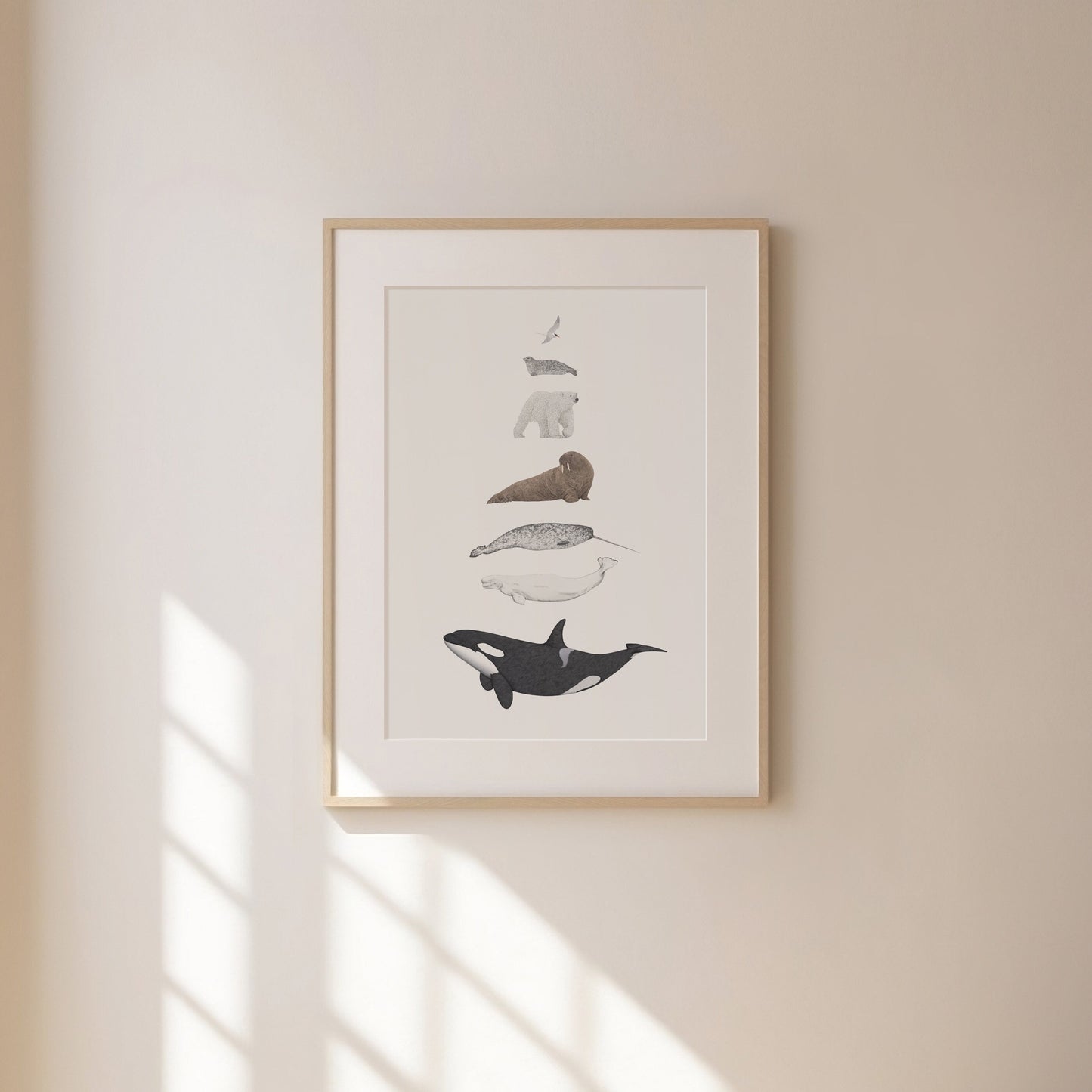 Arctic Species Print