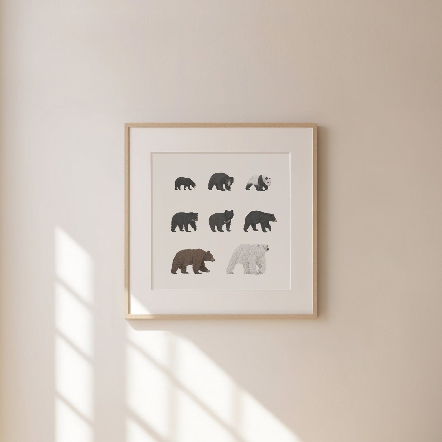 8 Bear Species Square Print