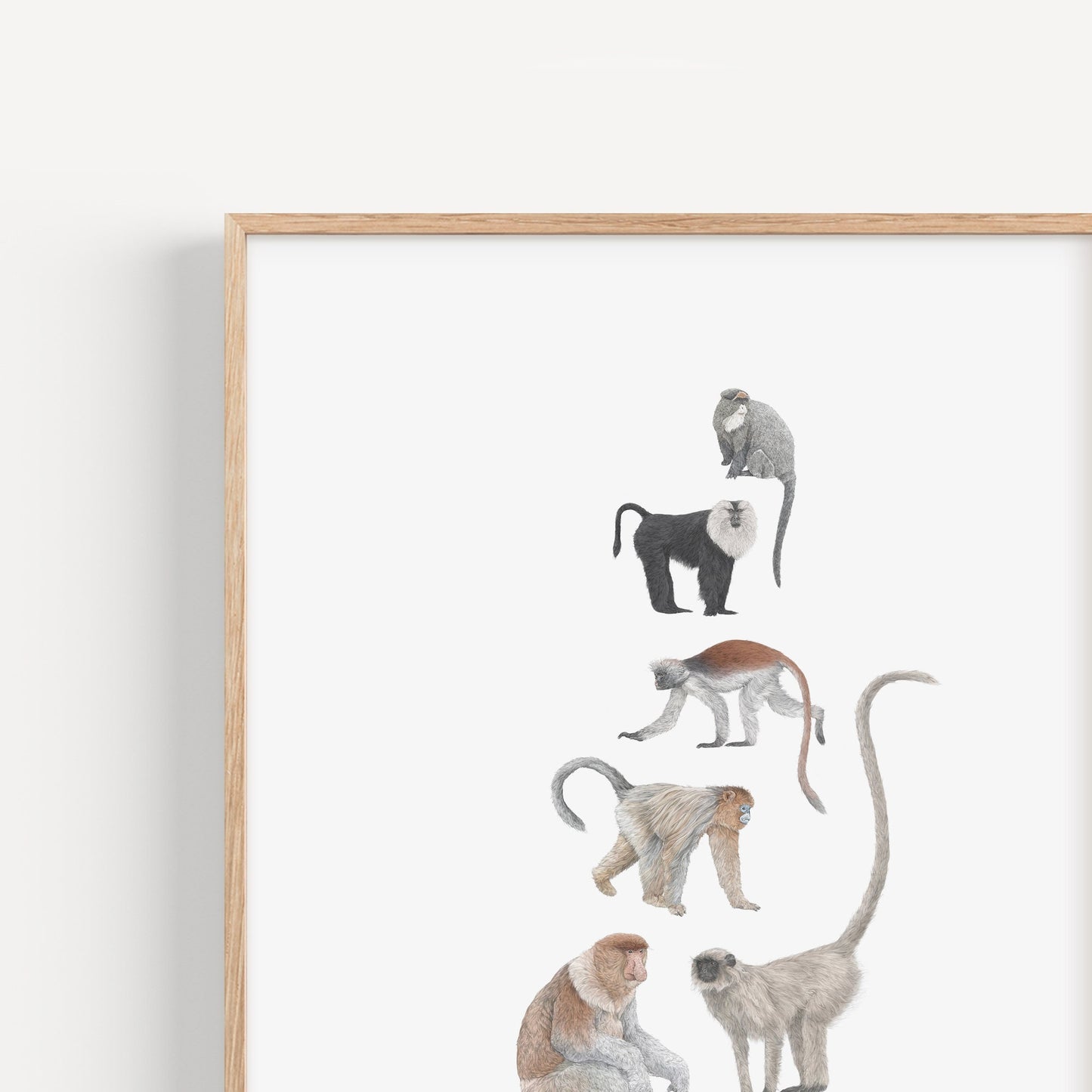 Monkey Species Print