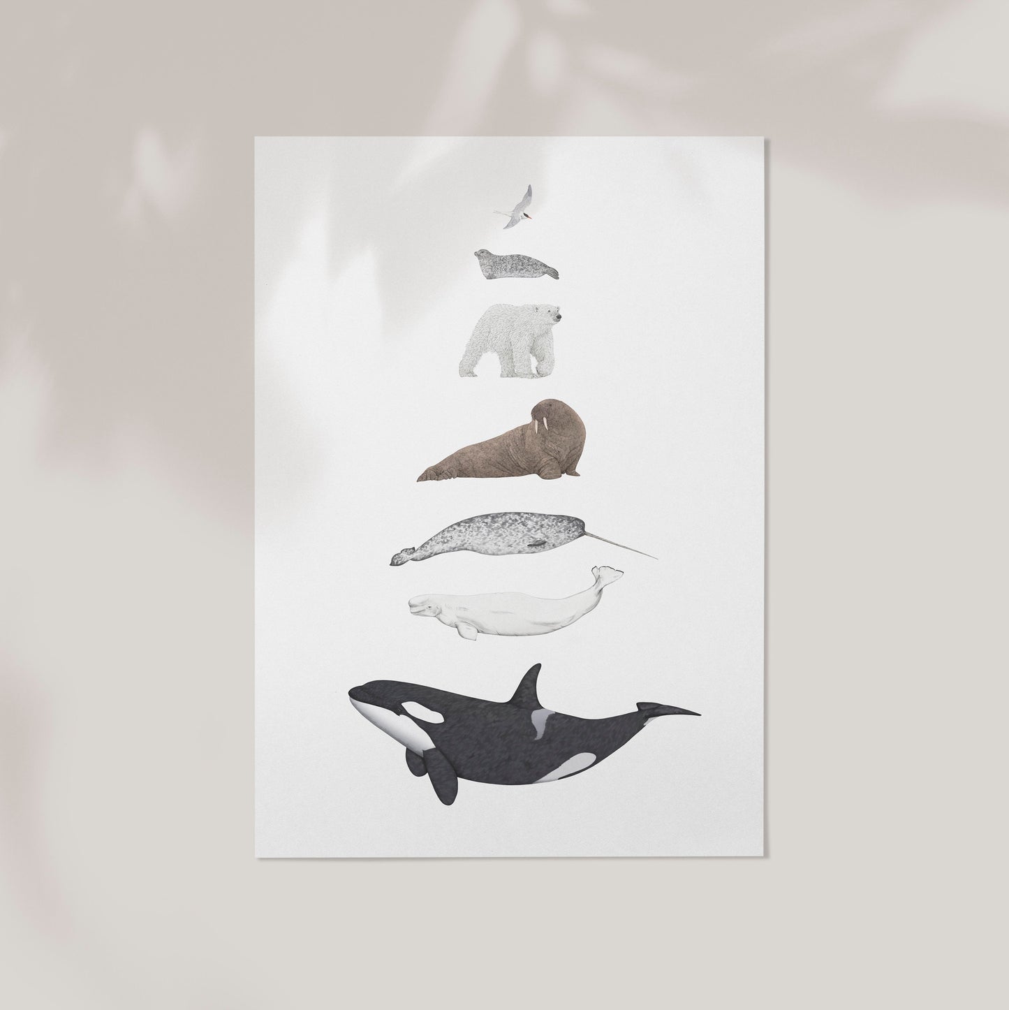Arctic Species Print