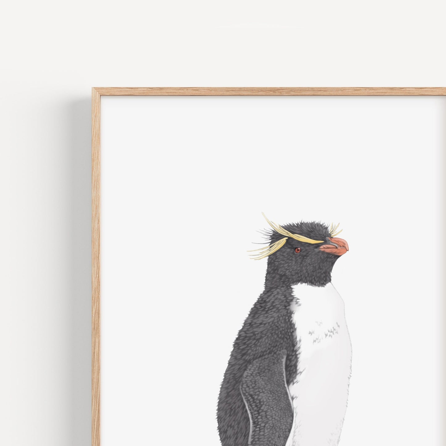 Rockhopper Penguin Print
