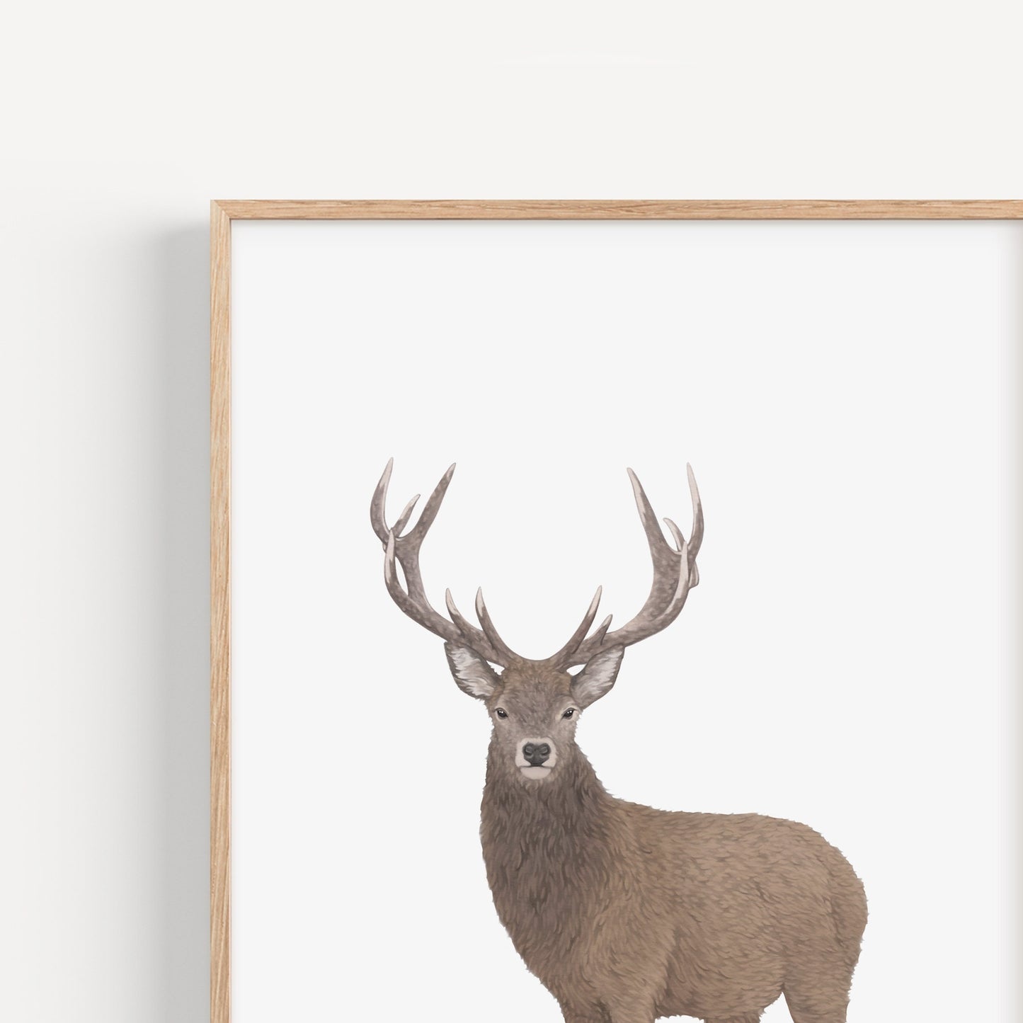 Stag Print