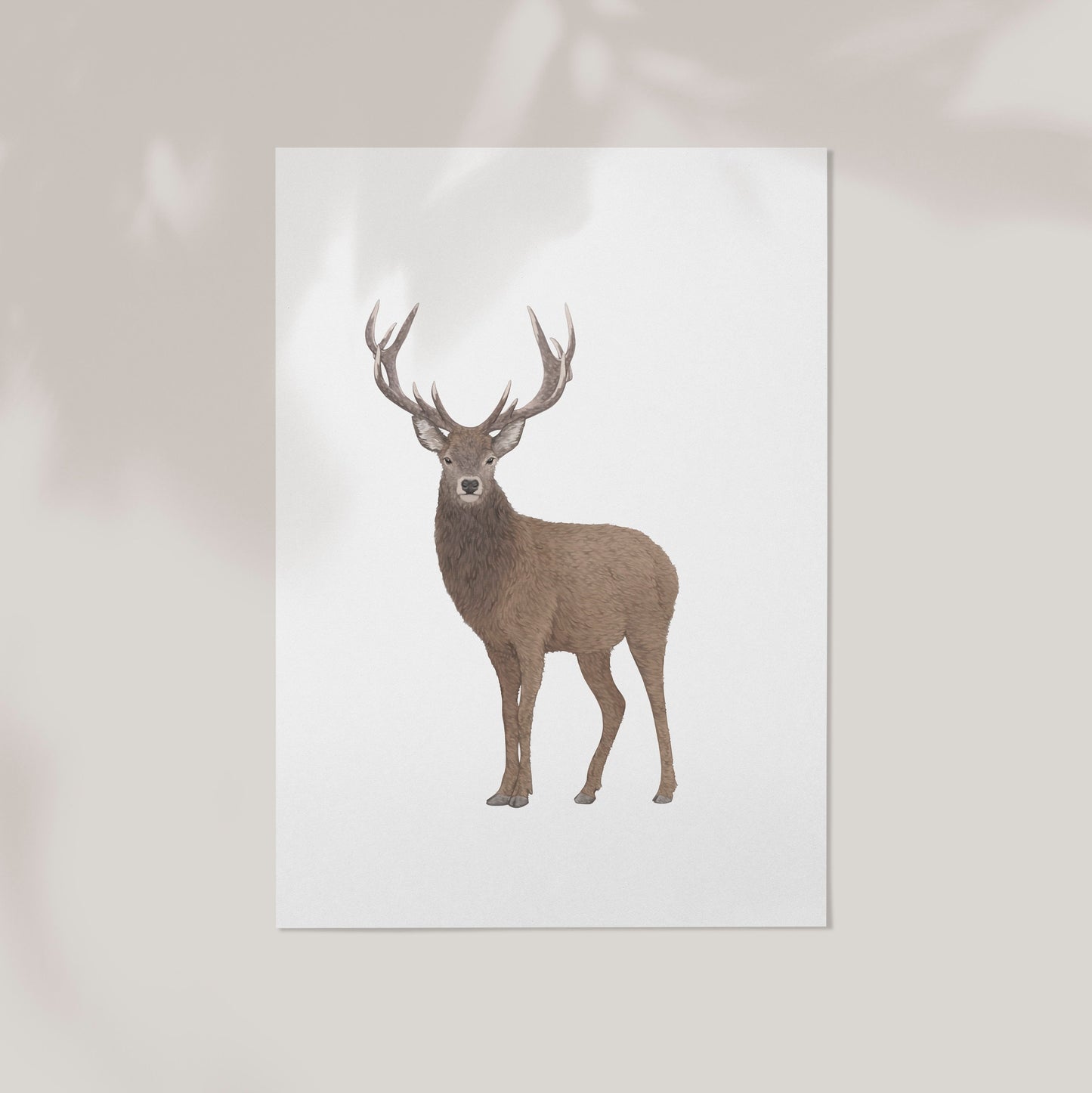 Stag Print