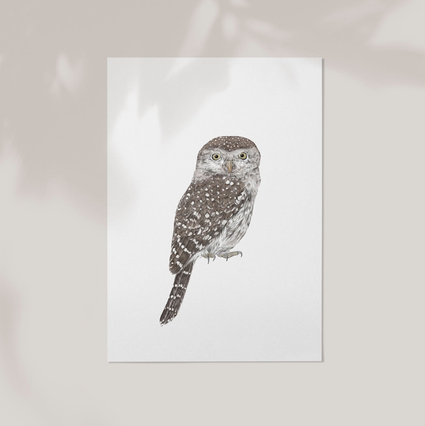Owl Print