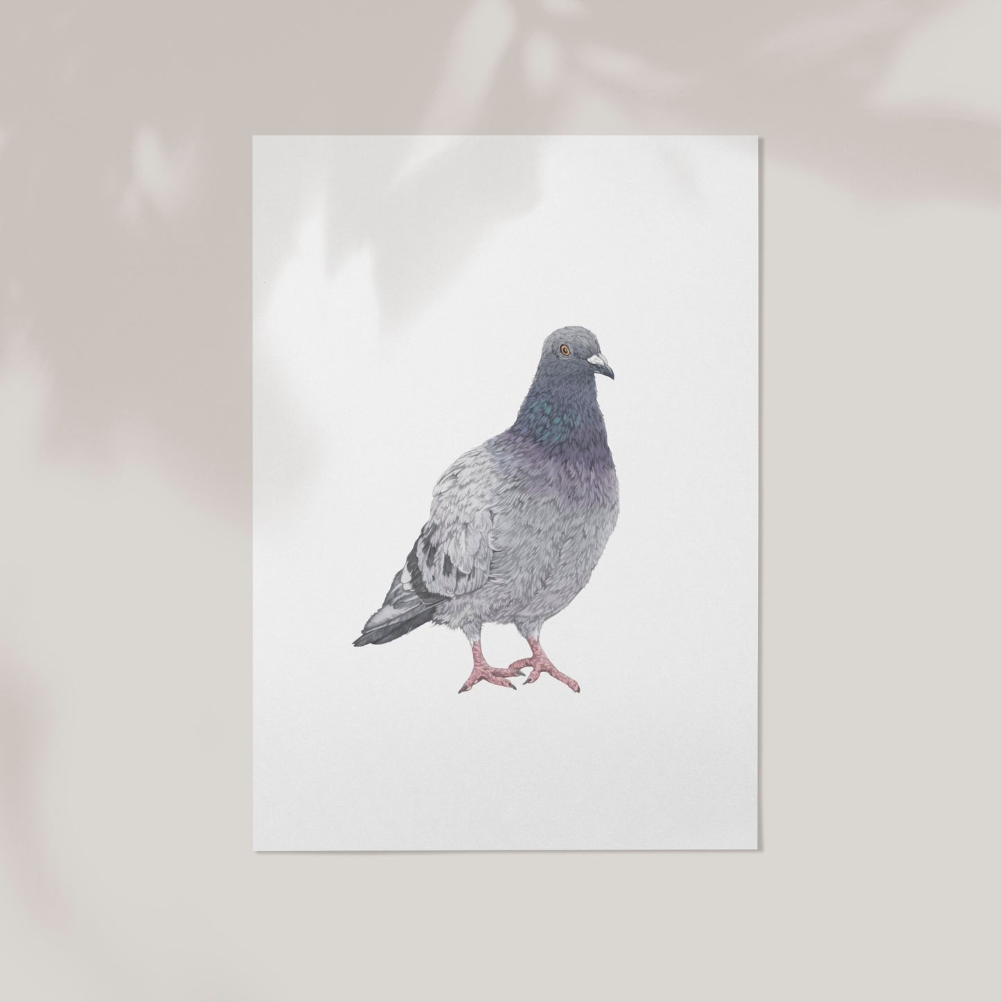 Pigeon Print