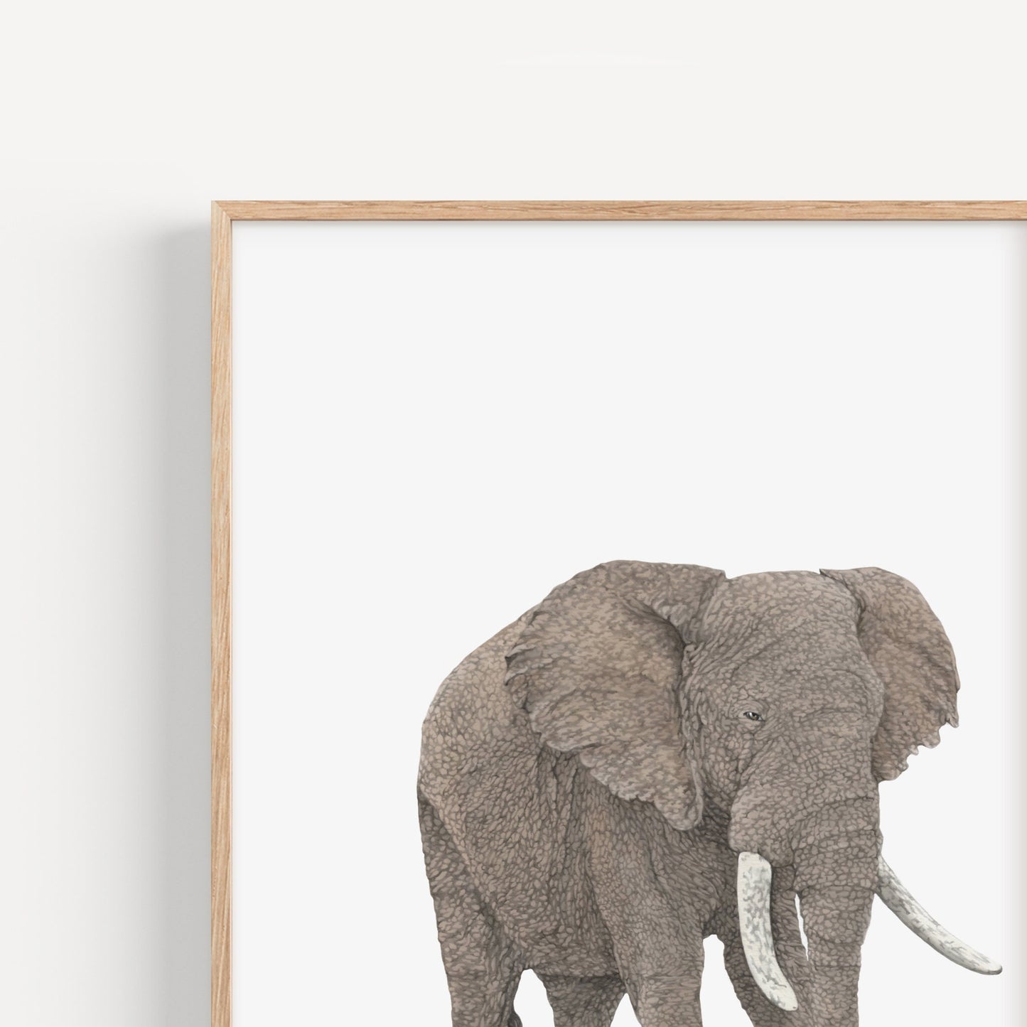 Elephant Print