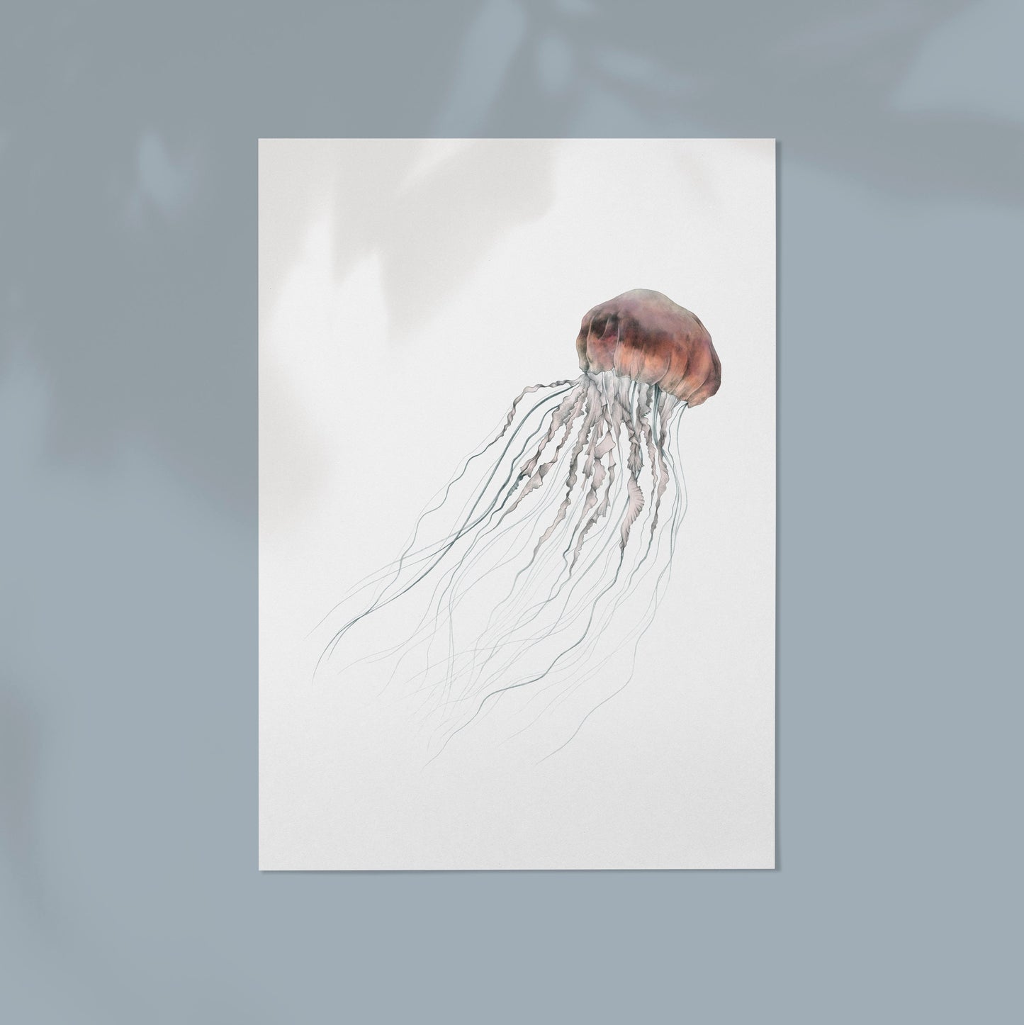 Jellyfish Print
