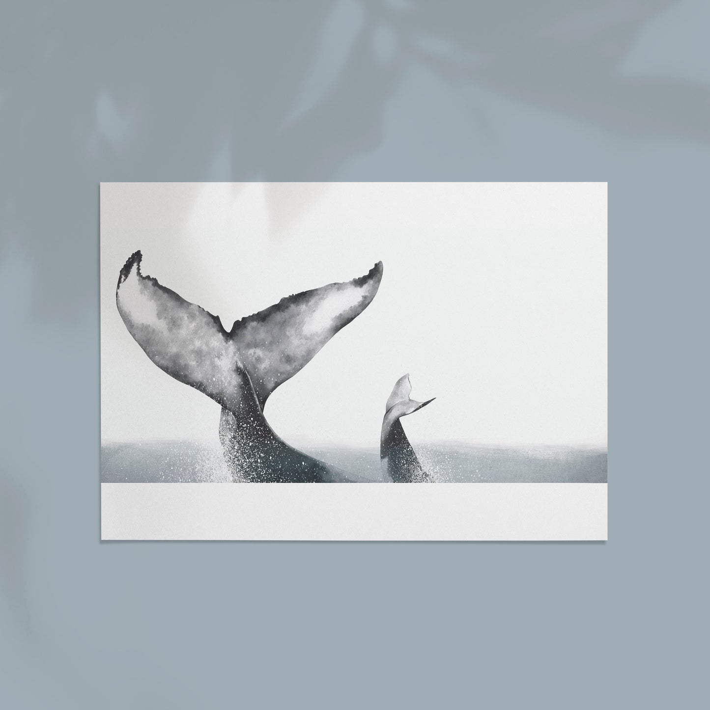 Whale Tails