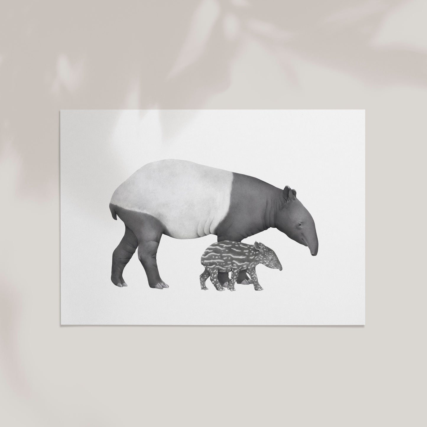 Tapir Mother and Baby Print