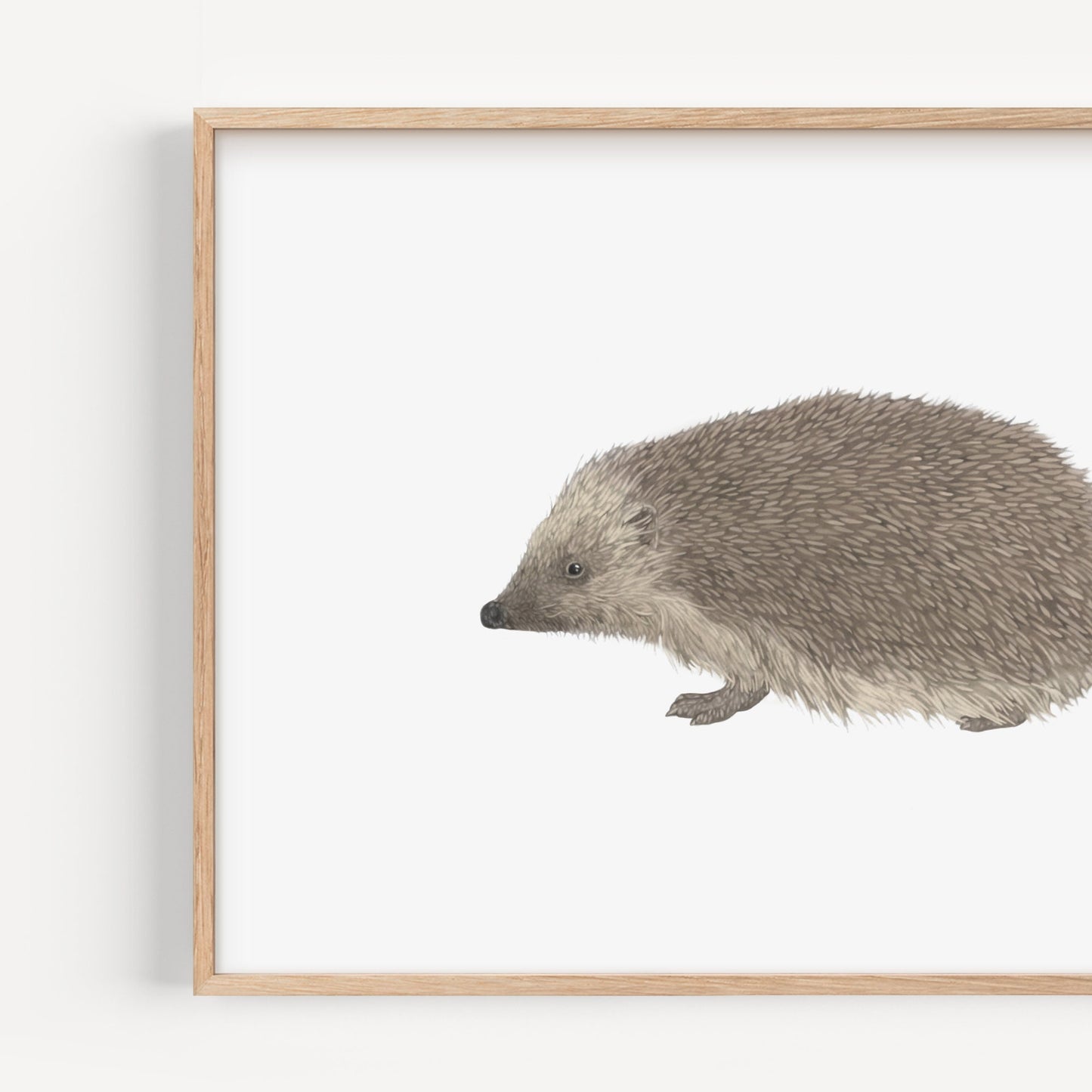 Hedgehog Print